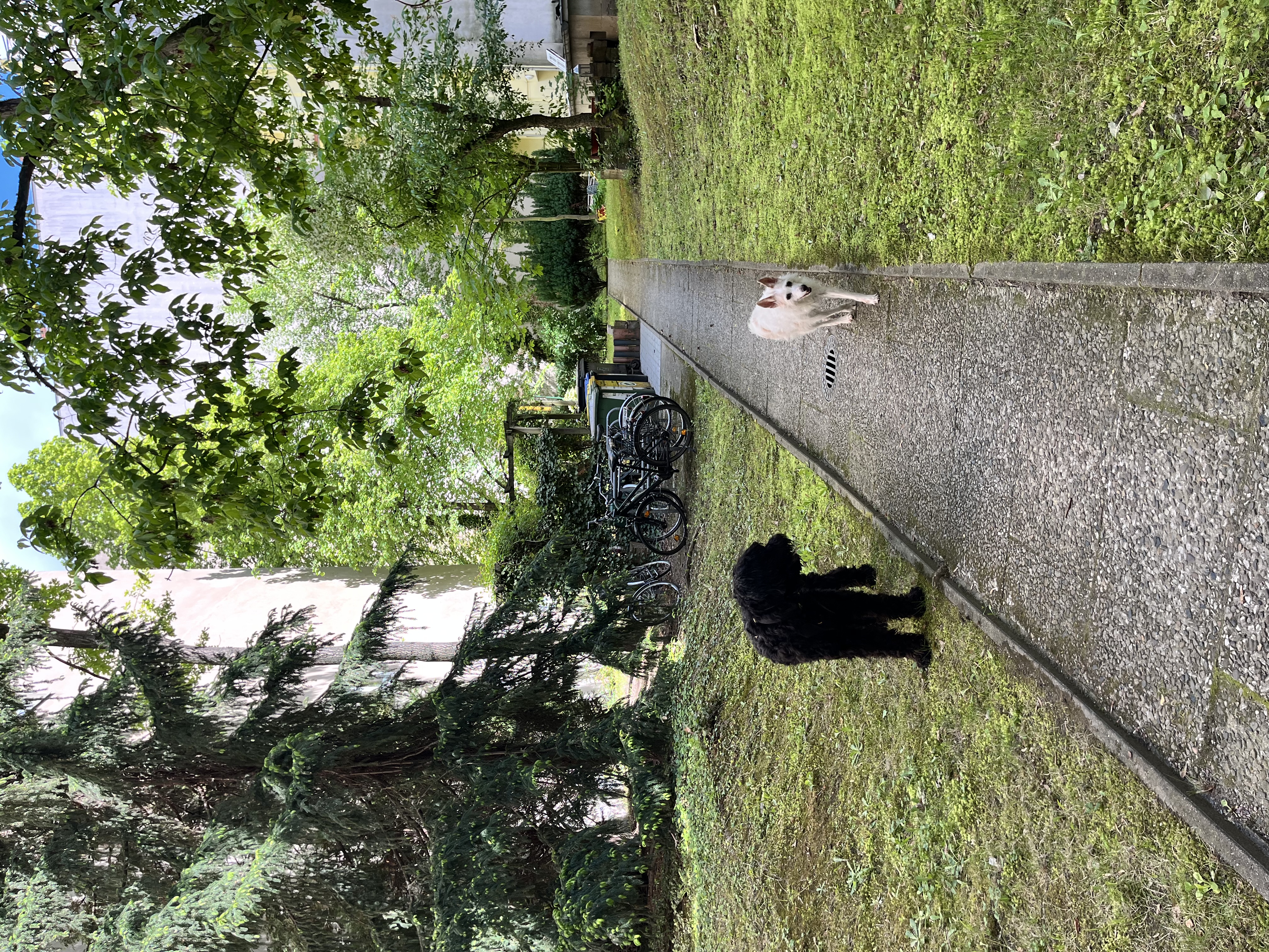 image-14