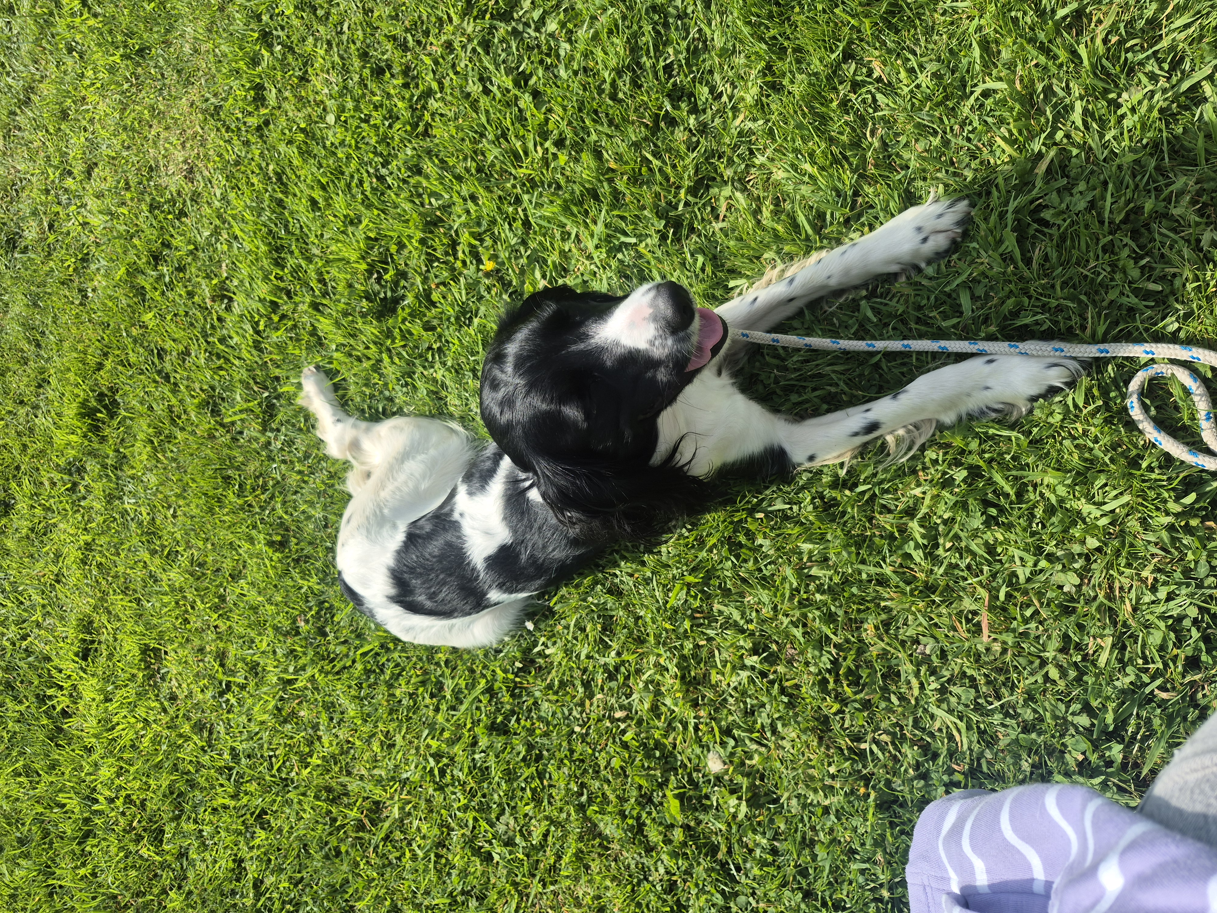 image-7