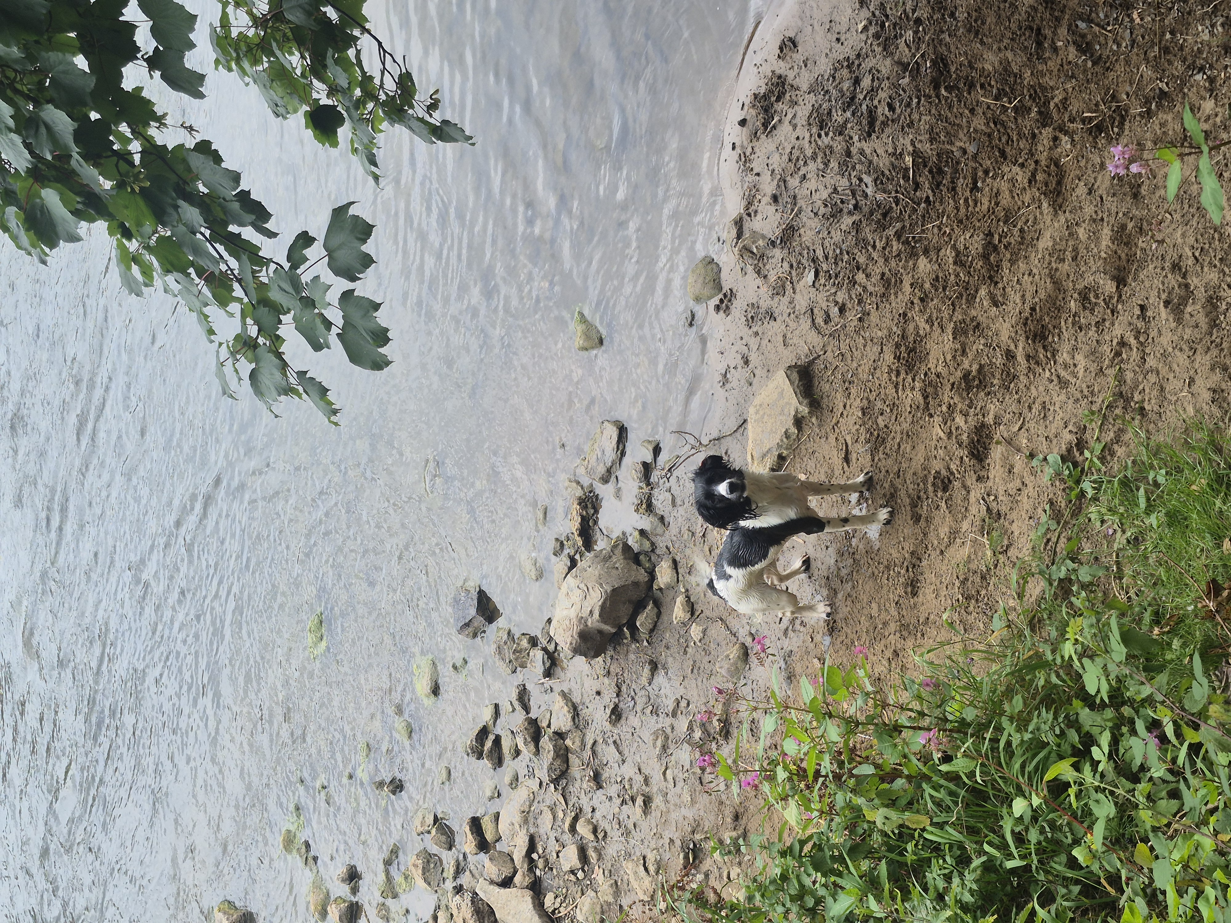 image-2