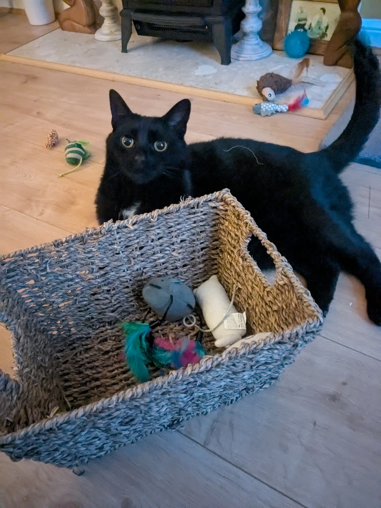 image-13