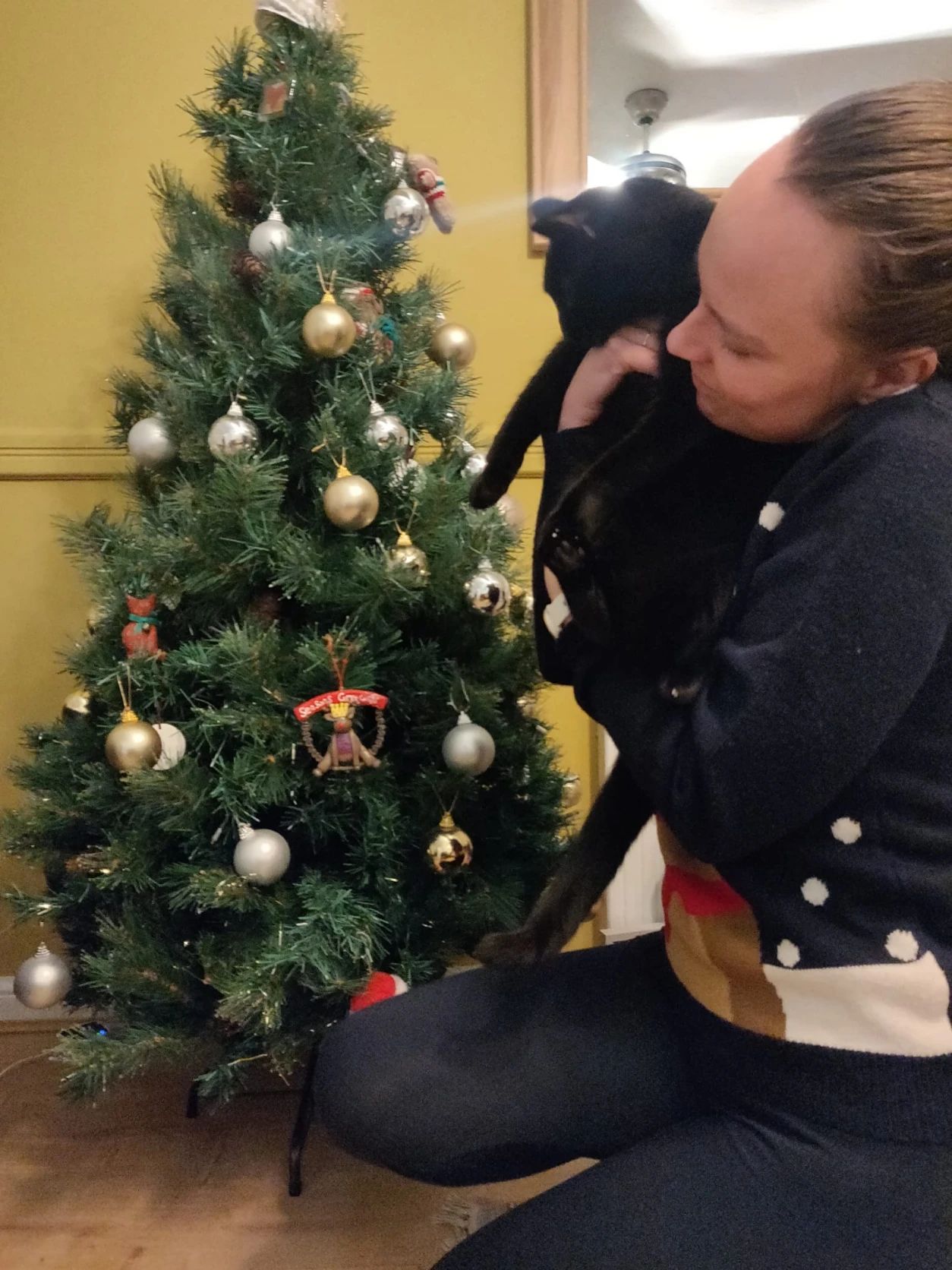 image-6