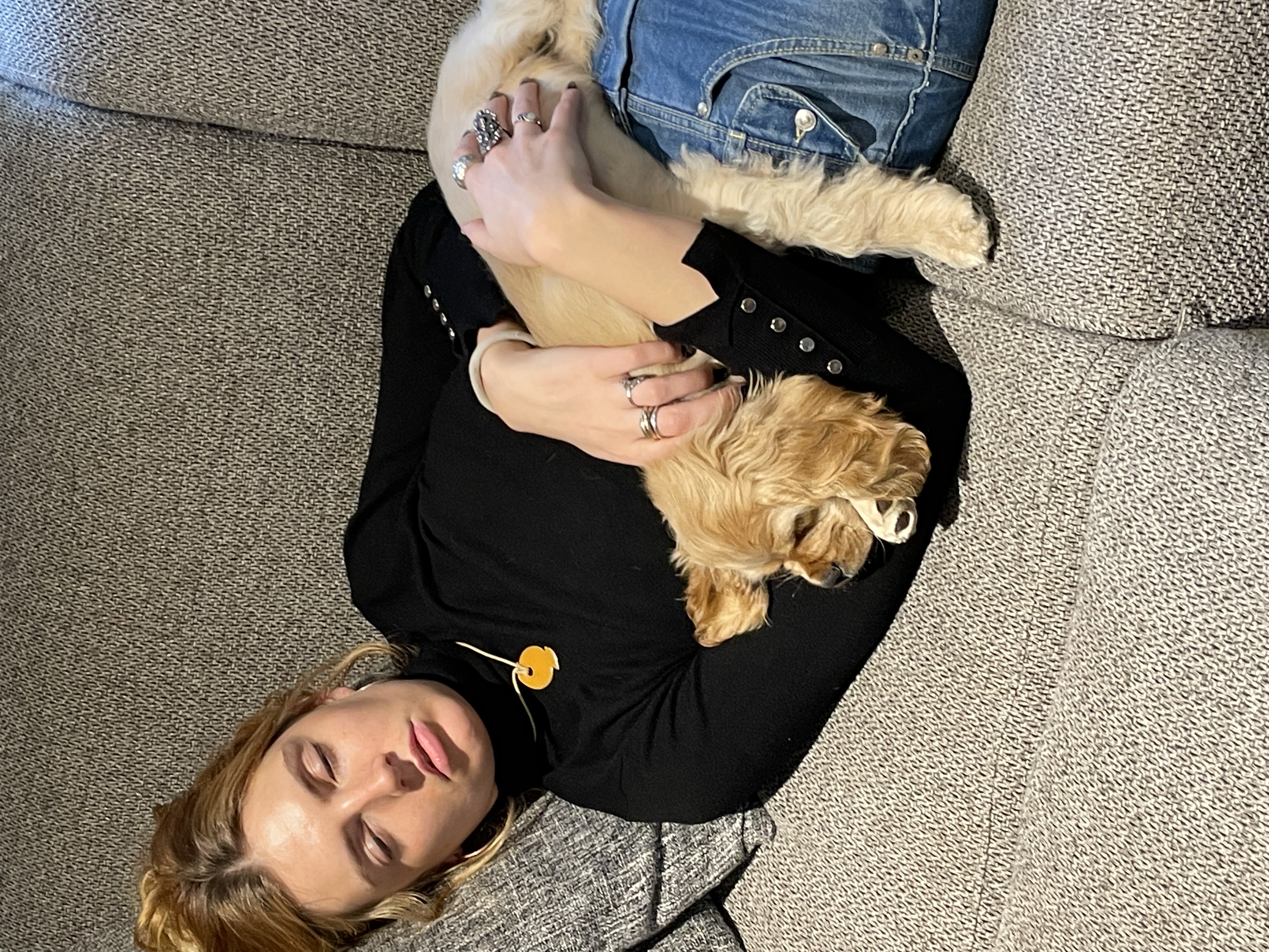 image-6