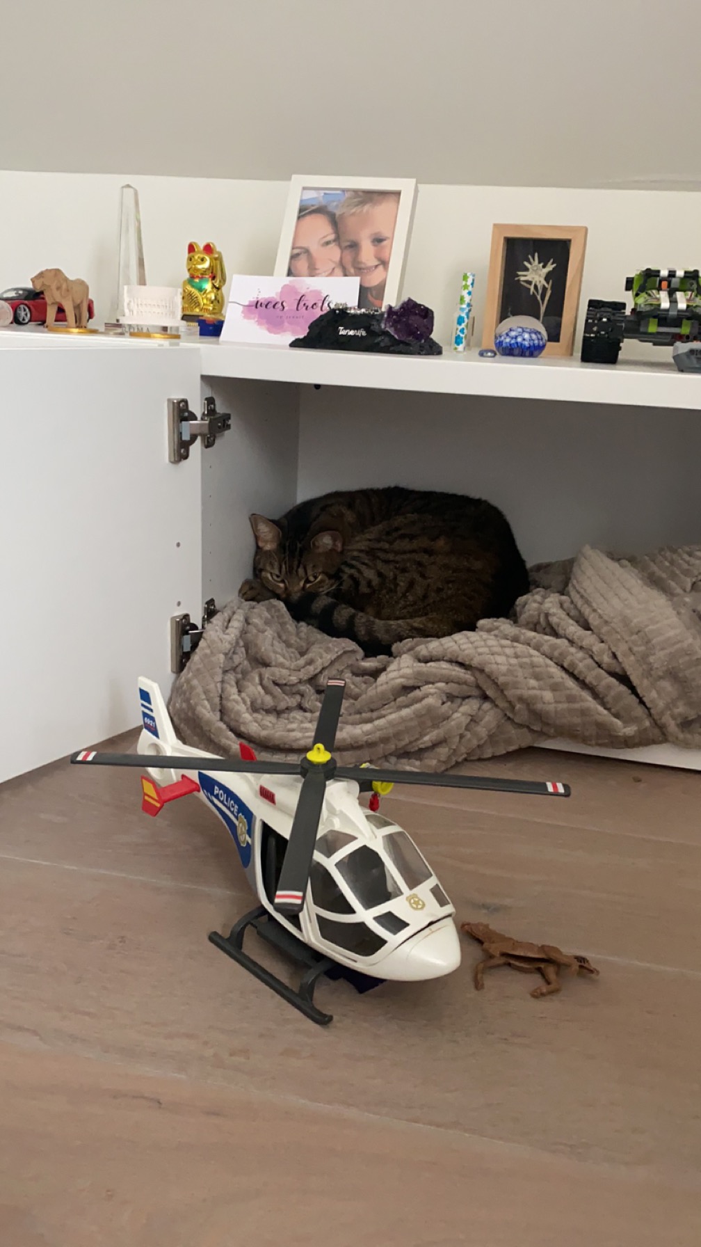 image-9