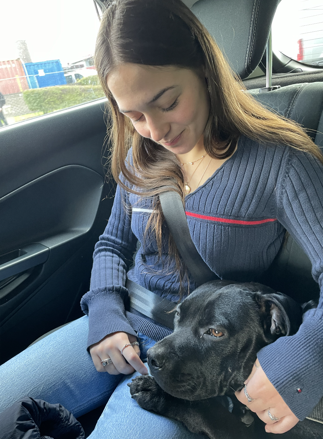 image-0