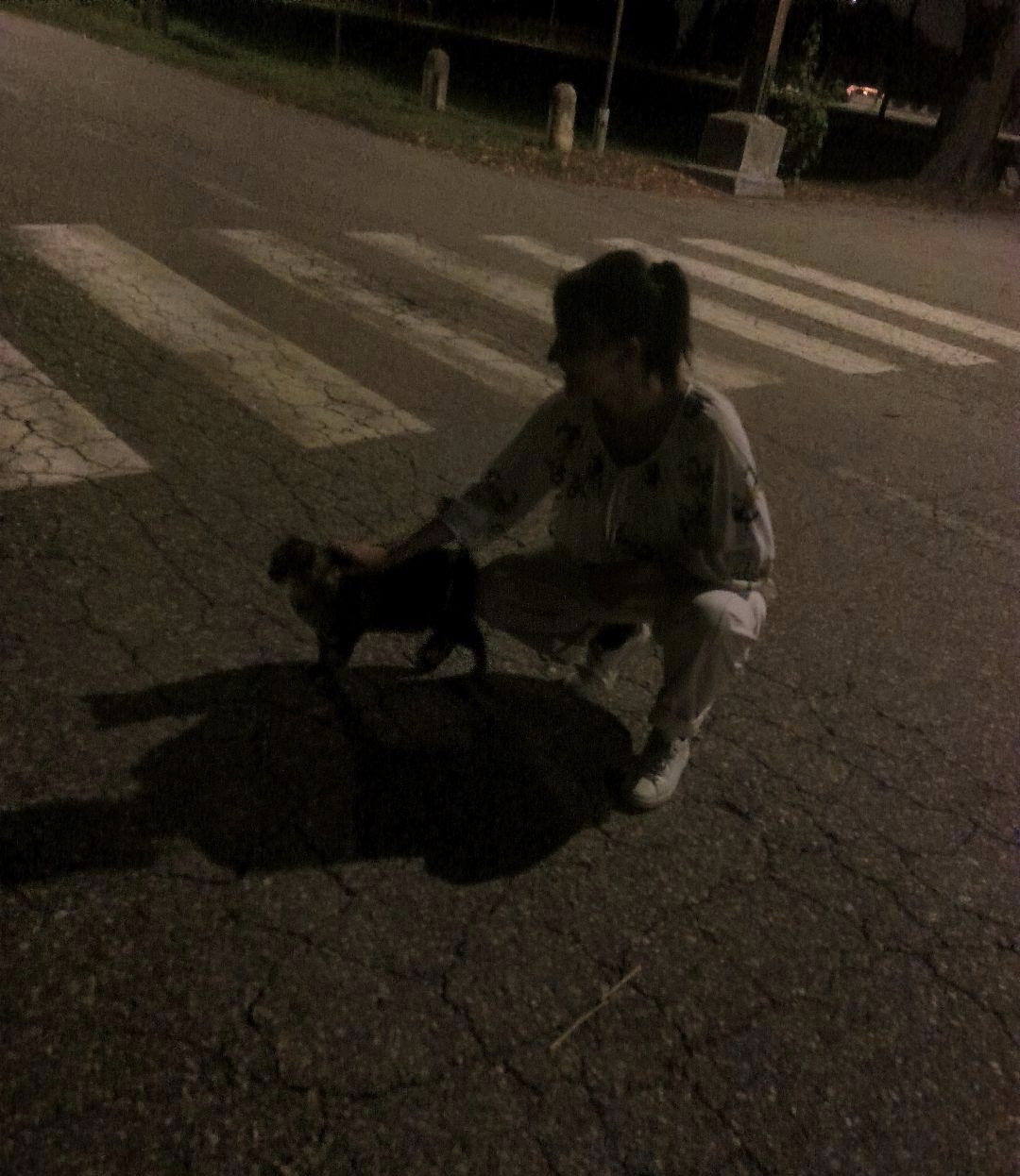 image-7
