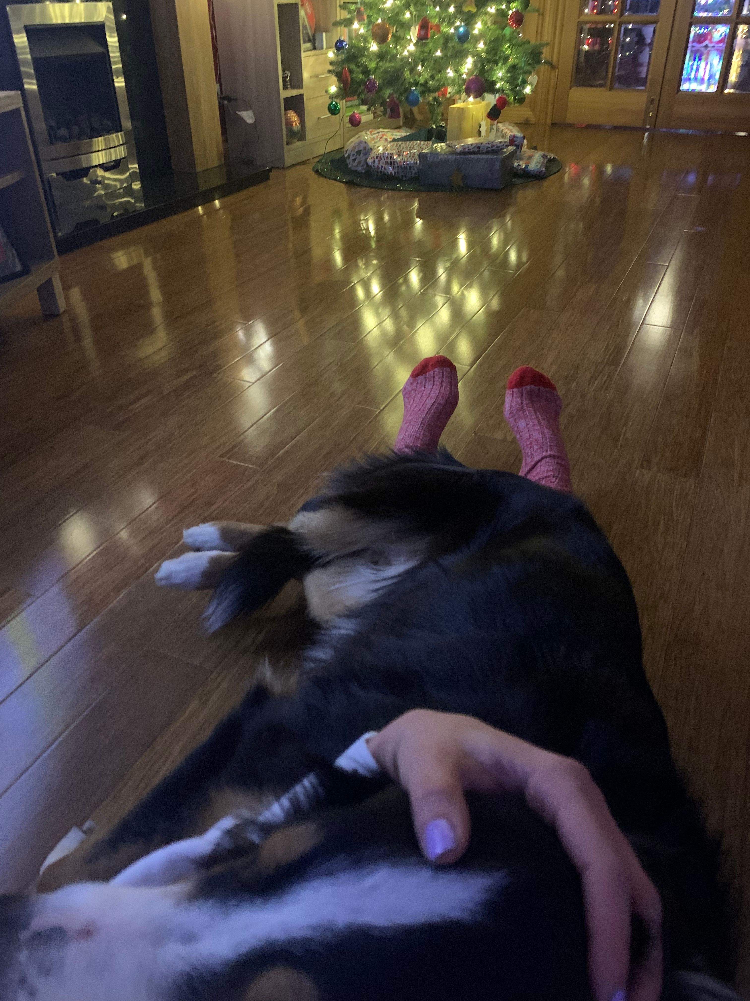 image-12