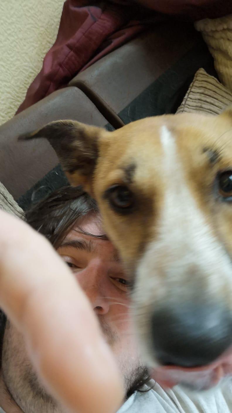 image-5