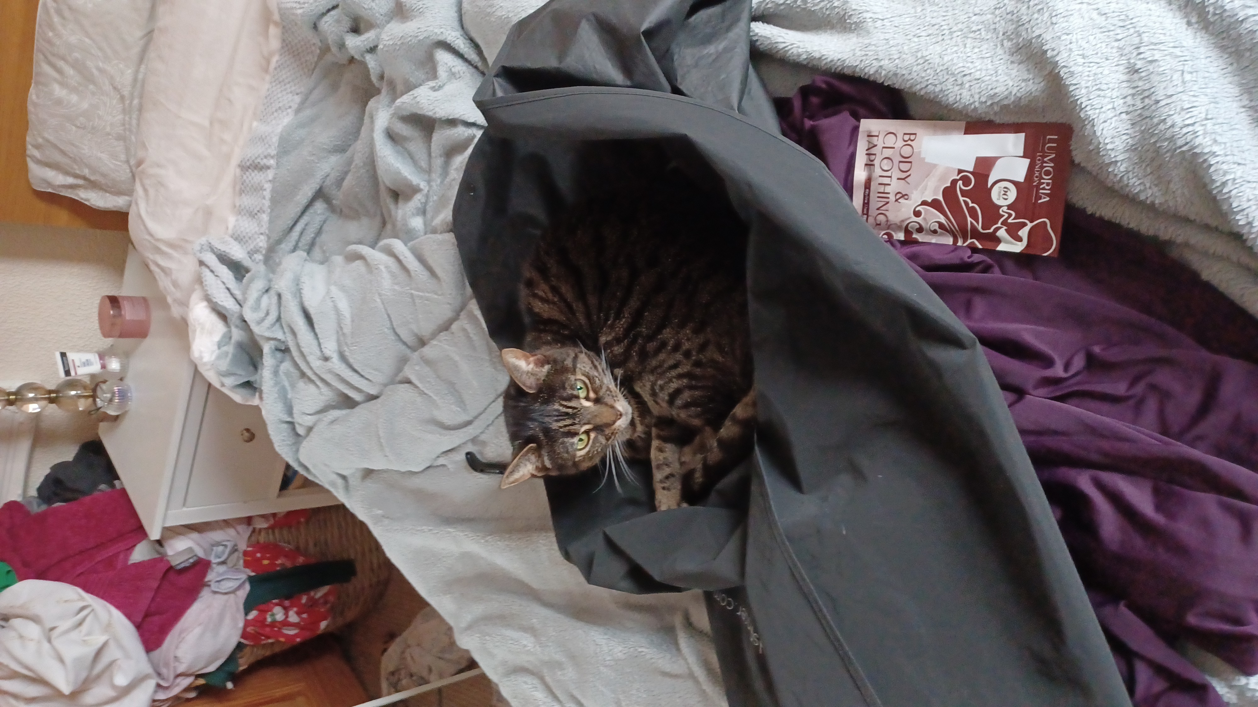 image-7