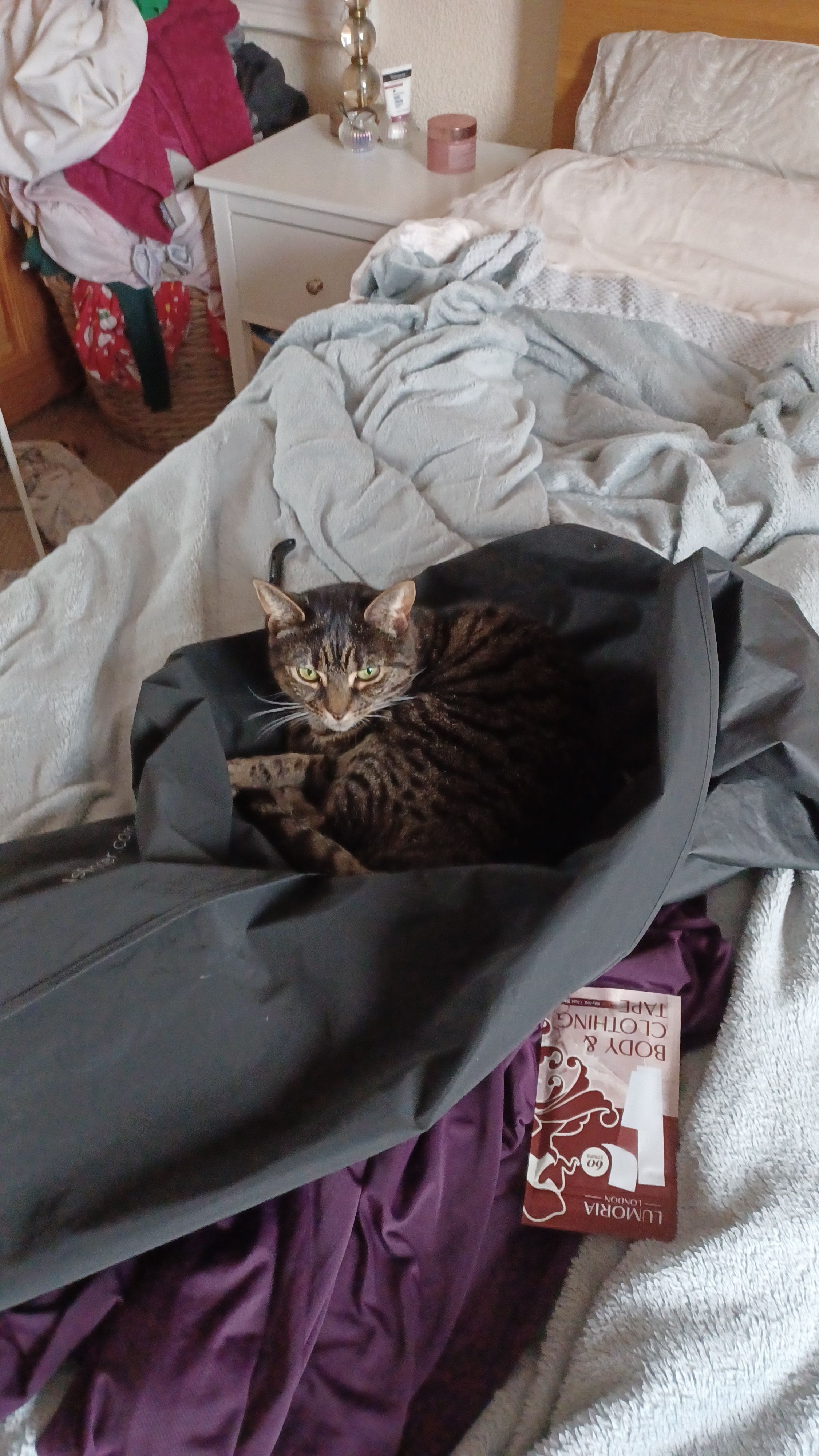 image-7