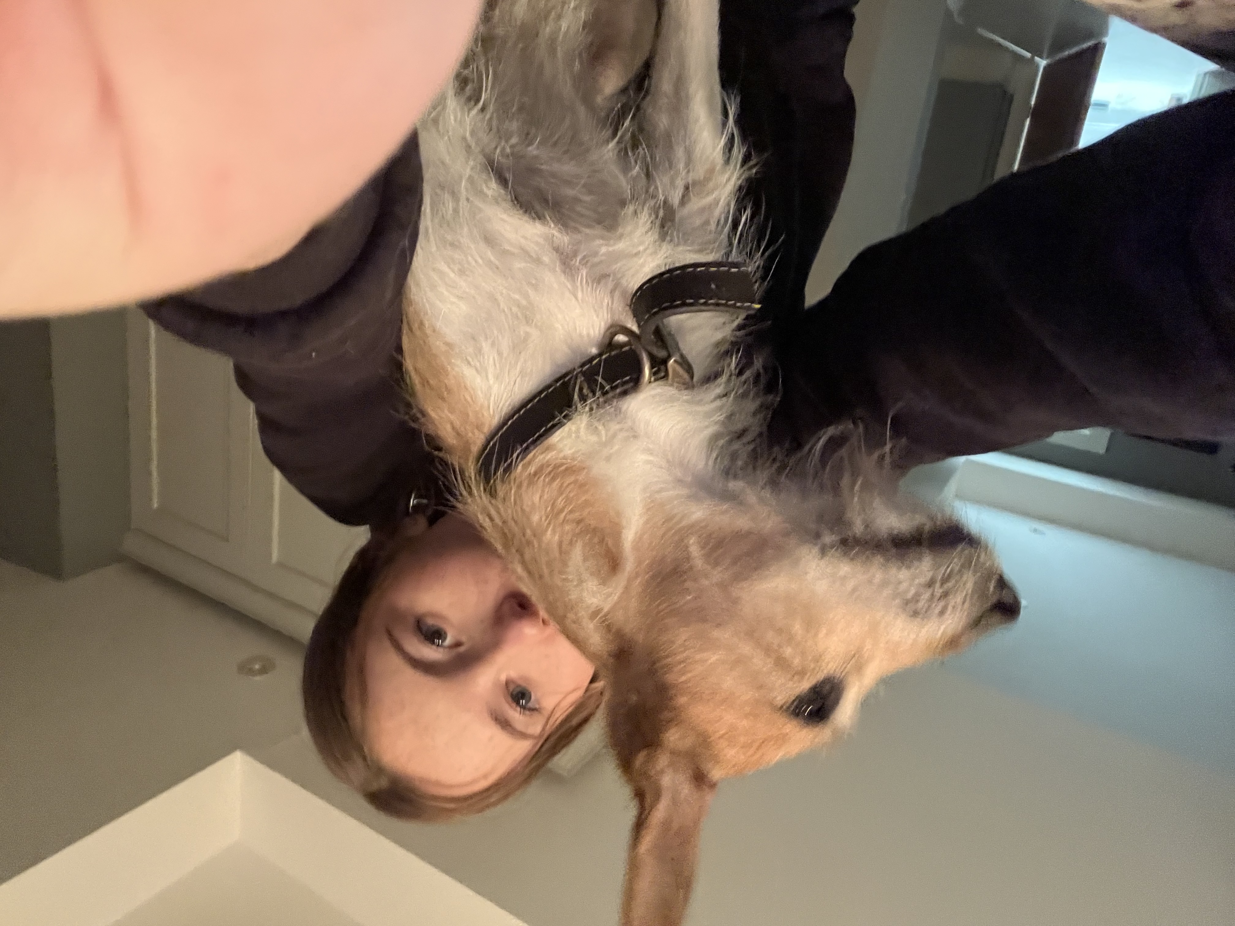 image-4