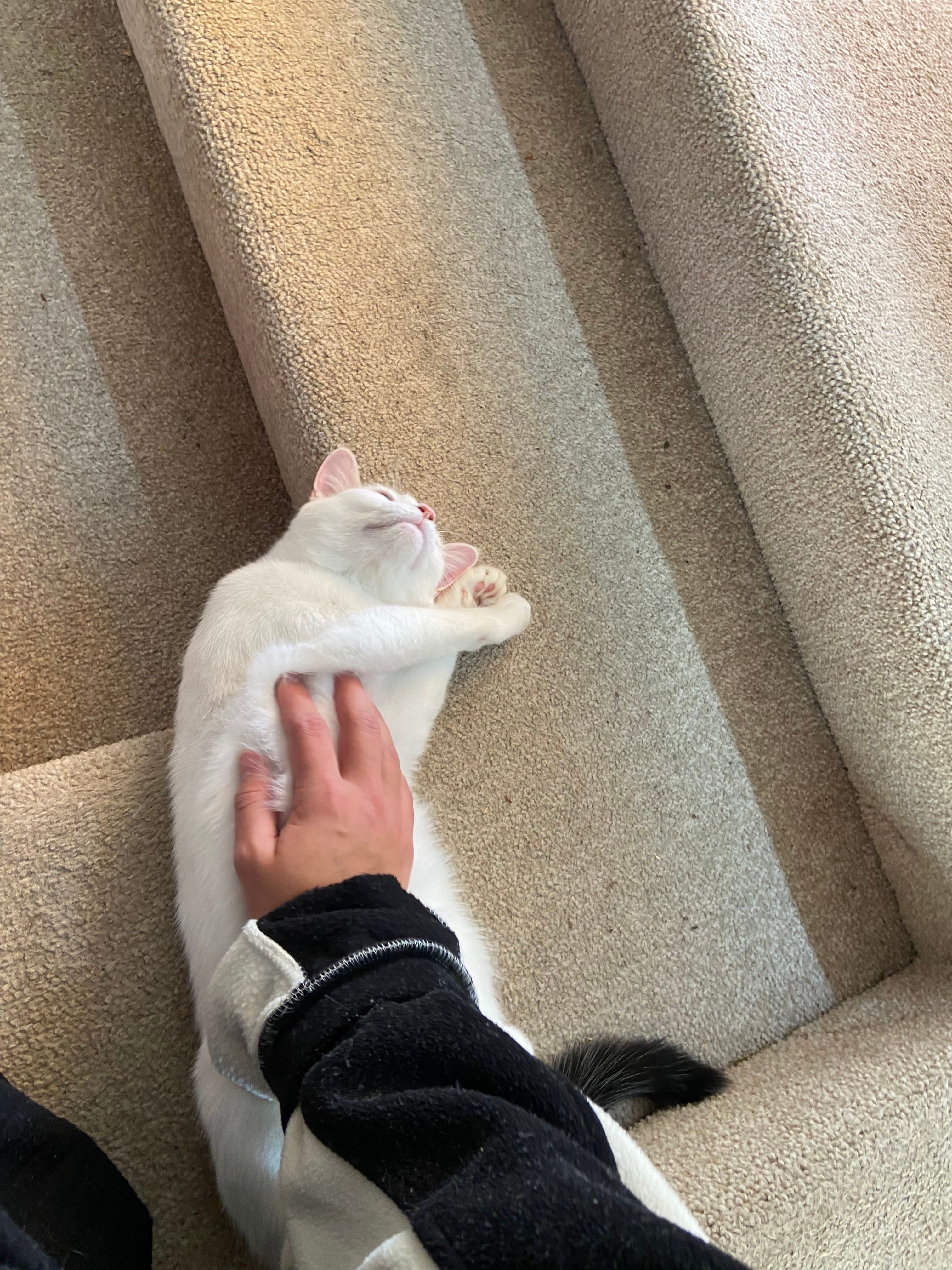 image-8