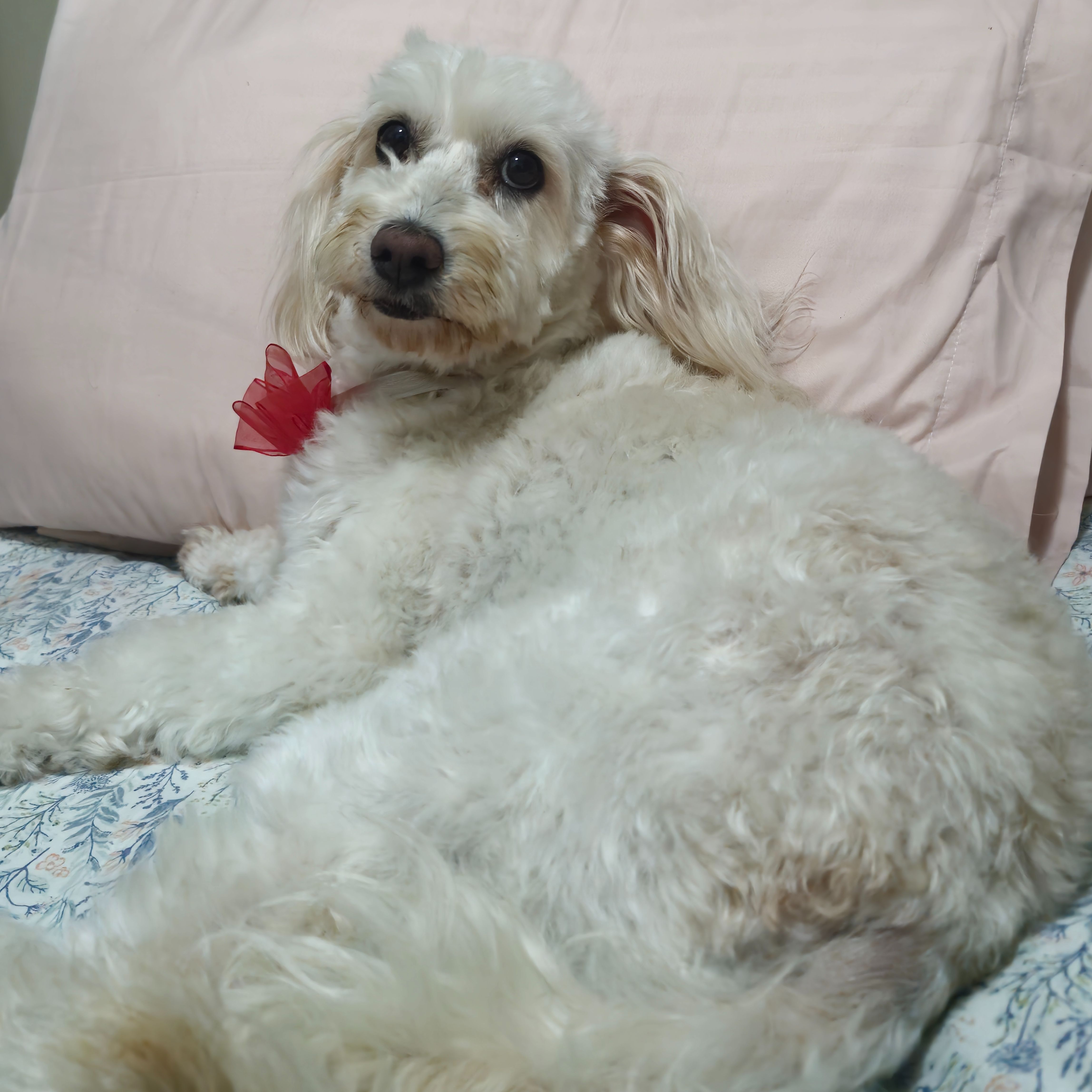 Zoe