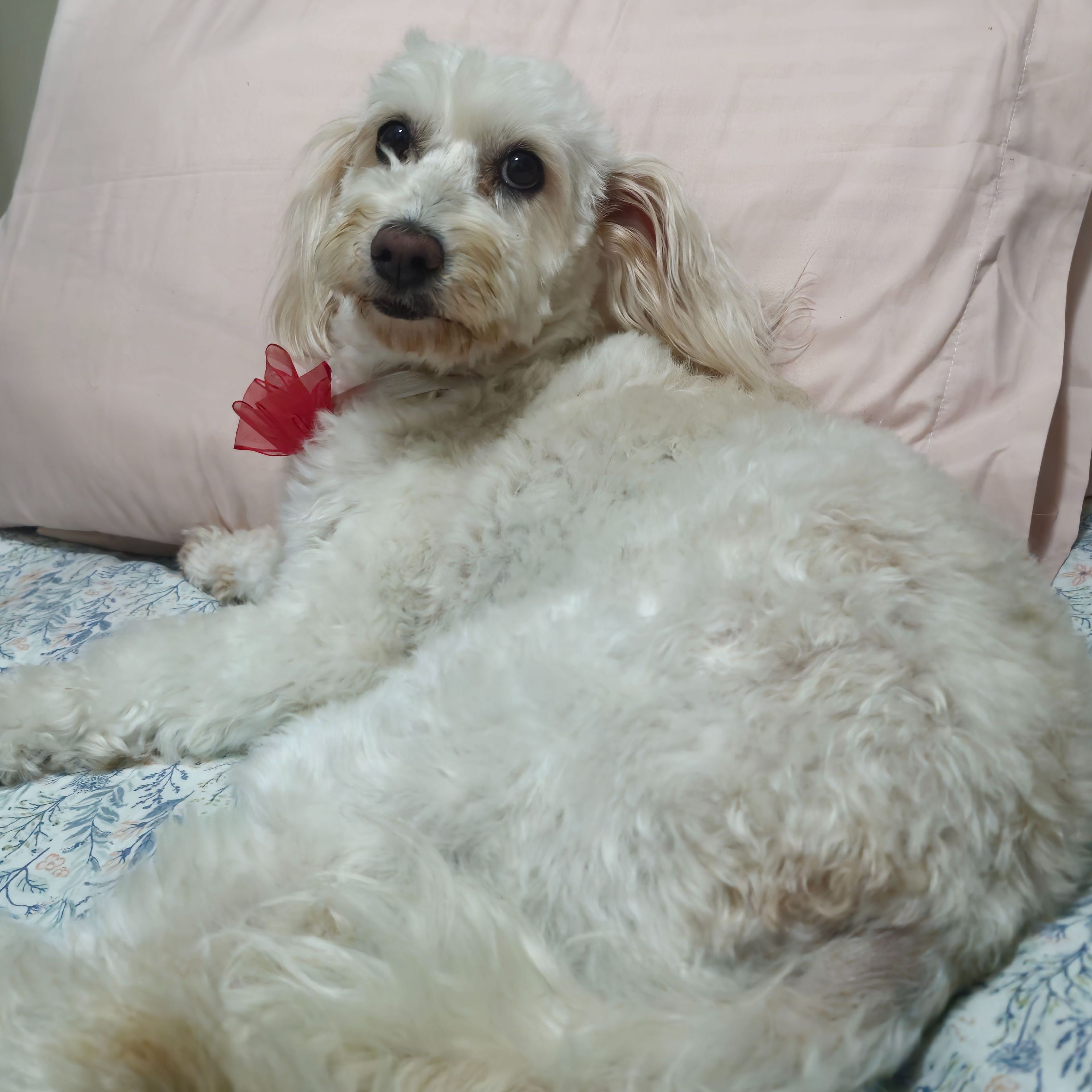Zoe