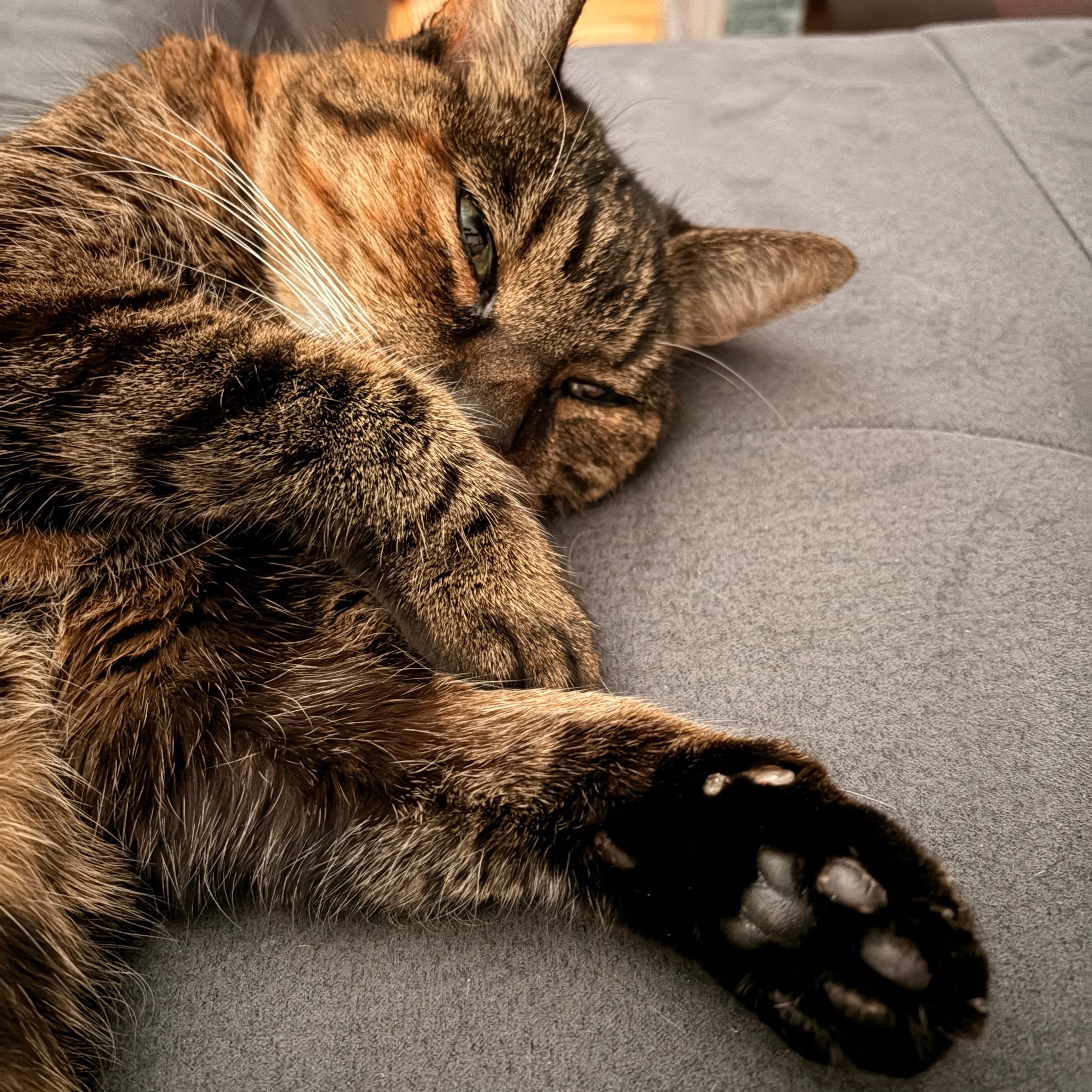 Nala