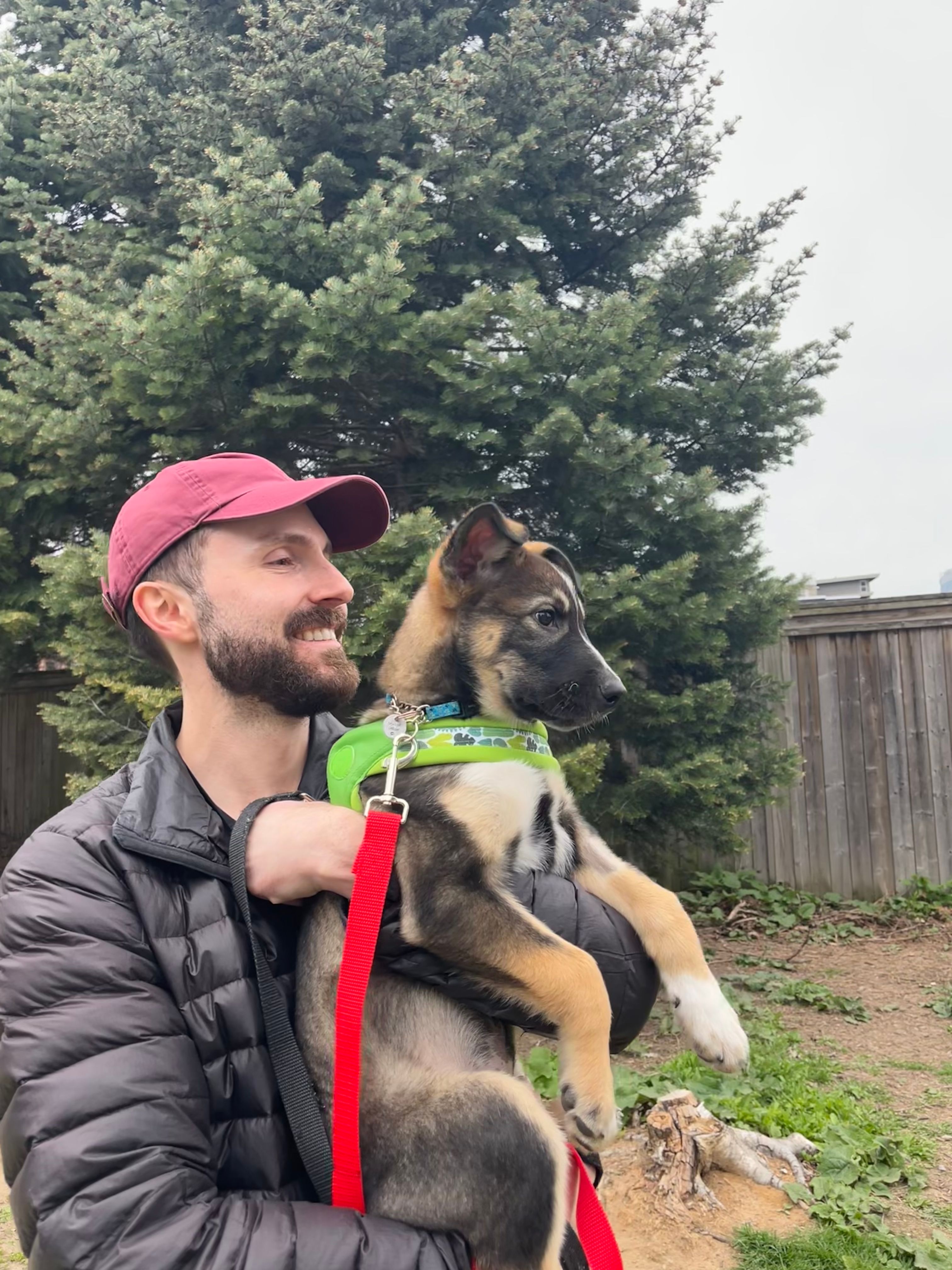 image-0