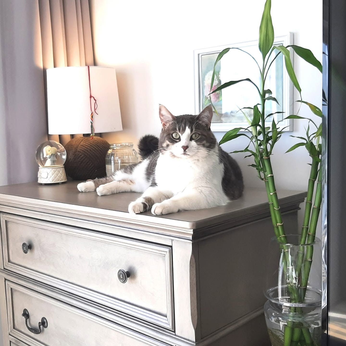 image-16