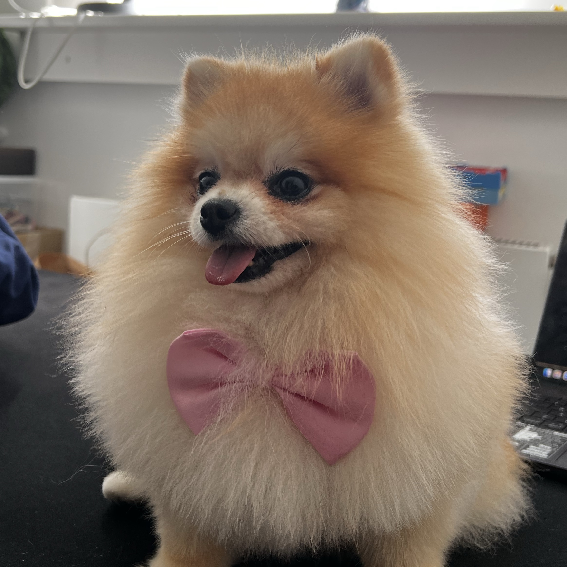 Toffee