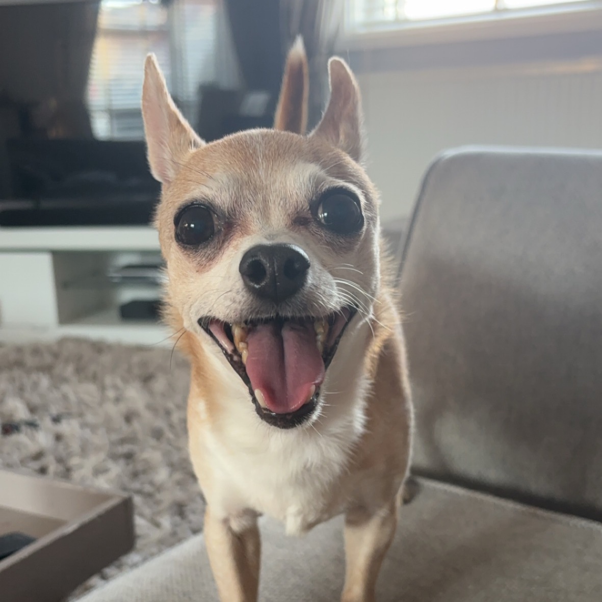 Diego 