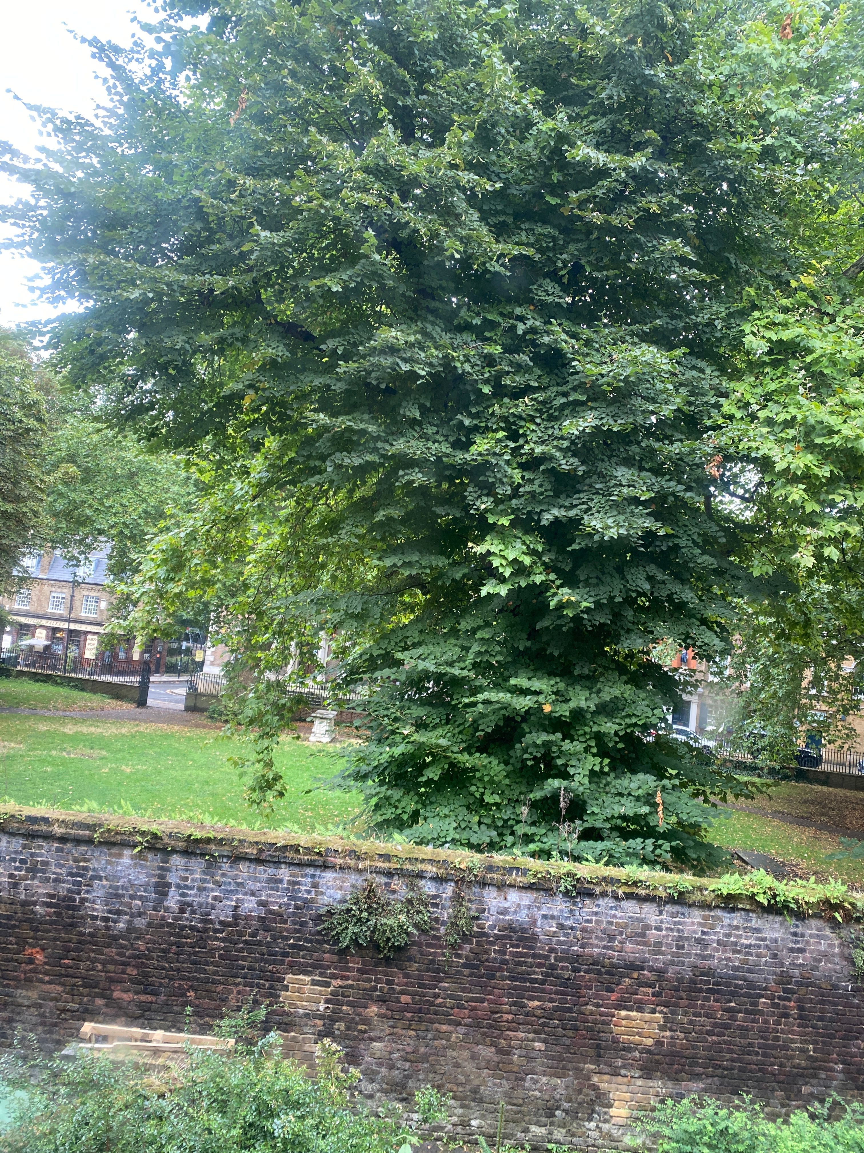 image-15