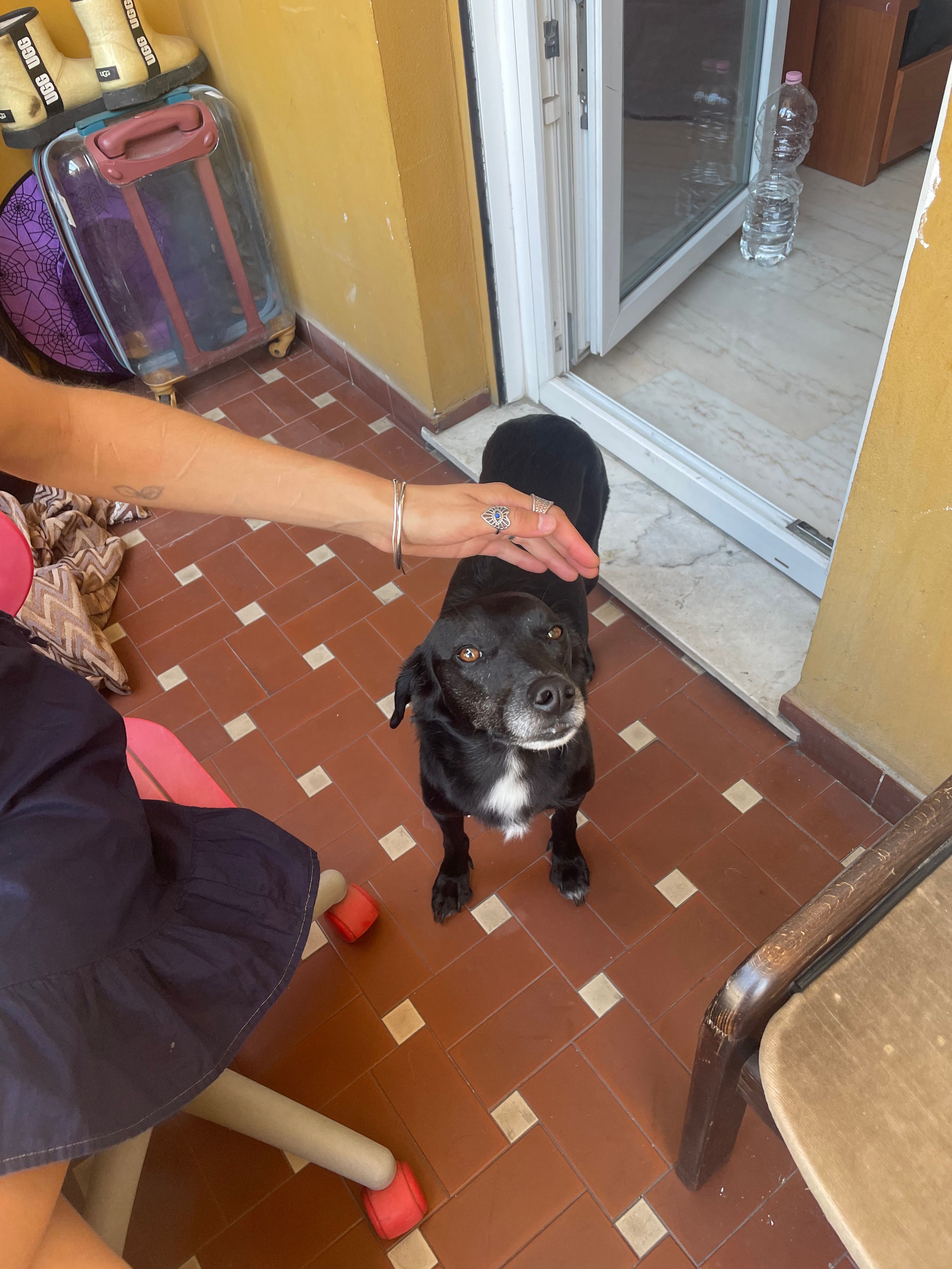 image-10