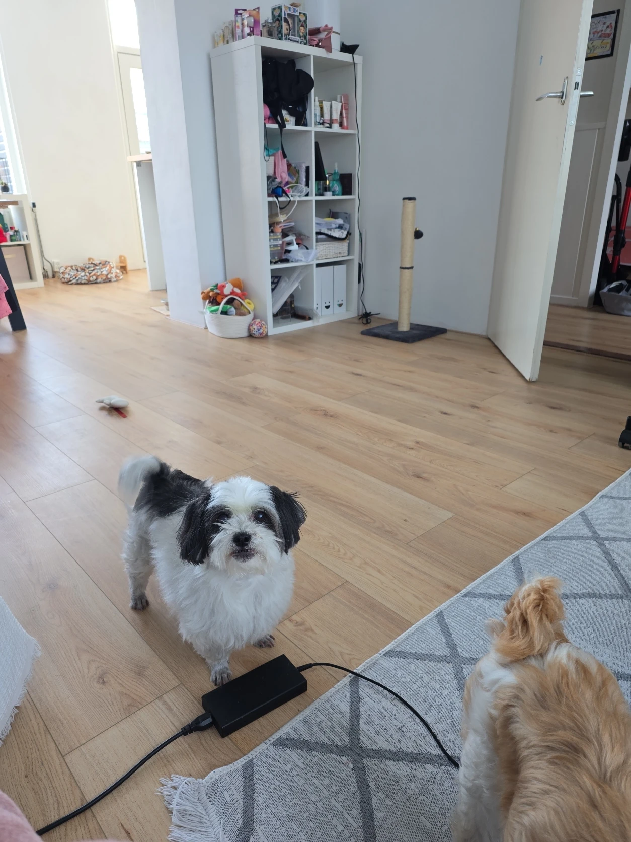 image-11