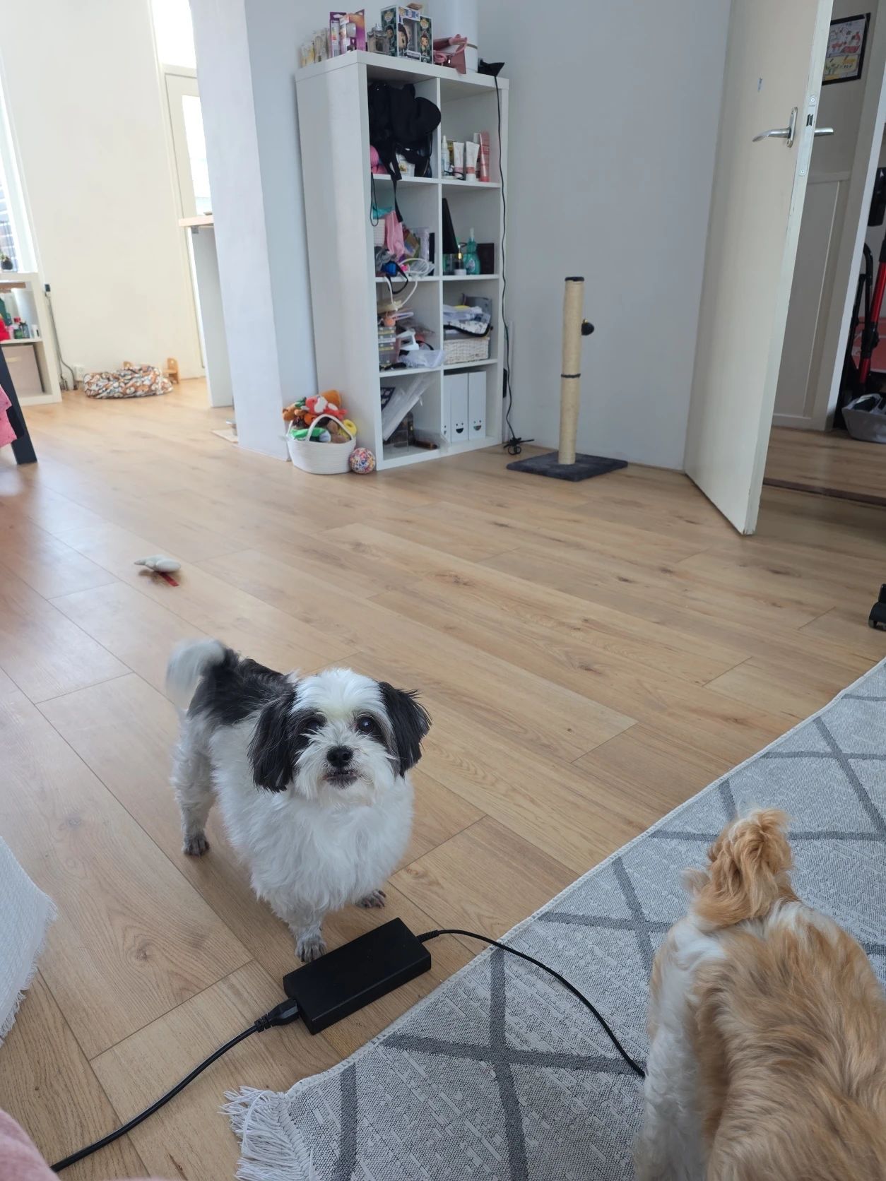image-11