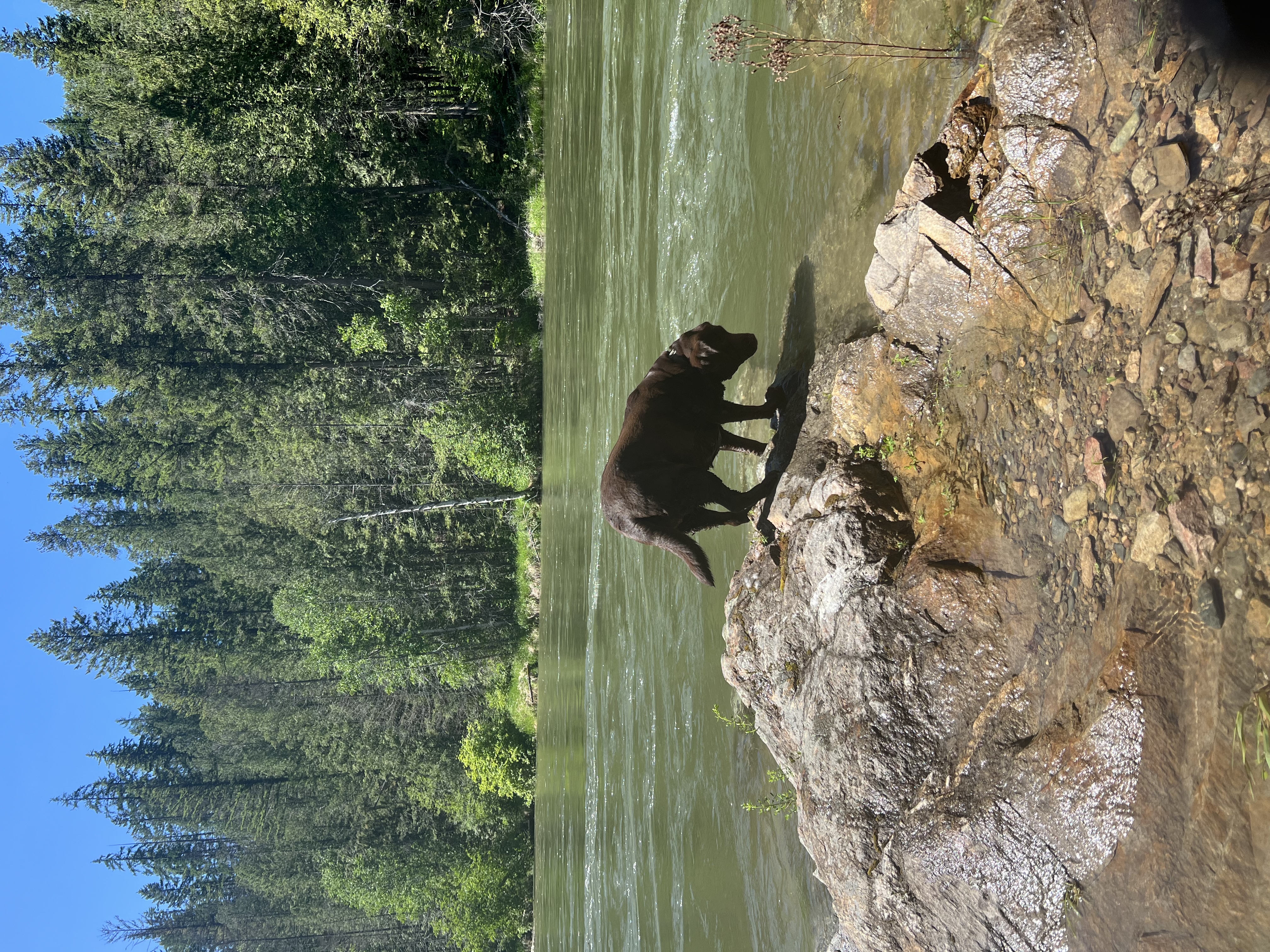 image-8