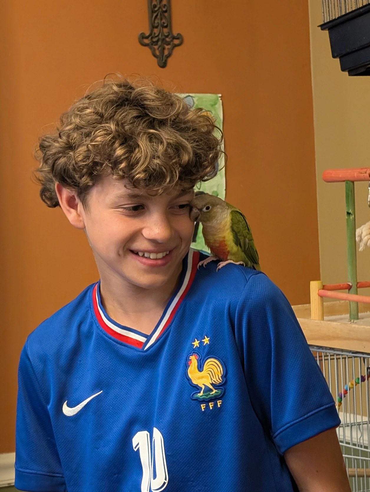 image-12