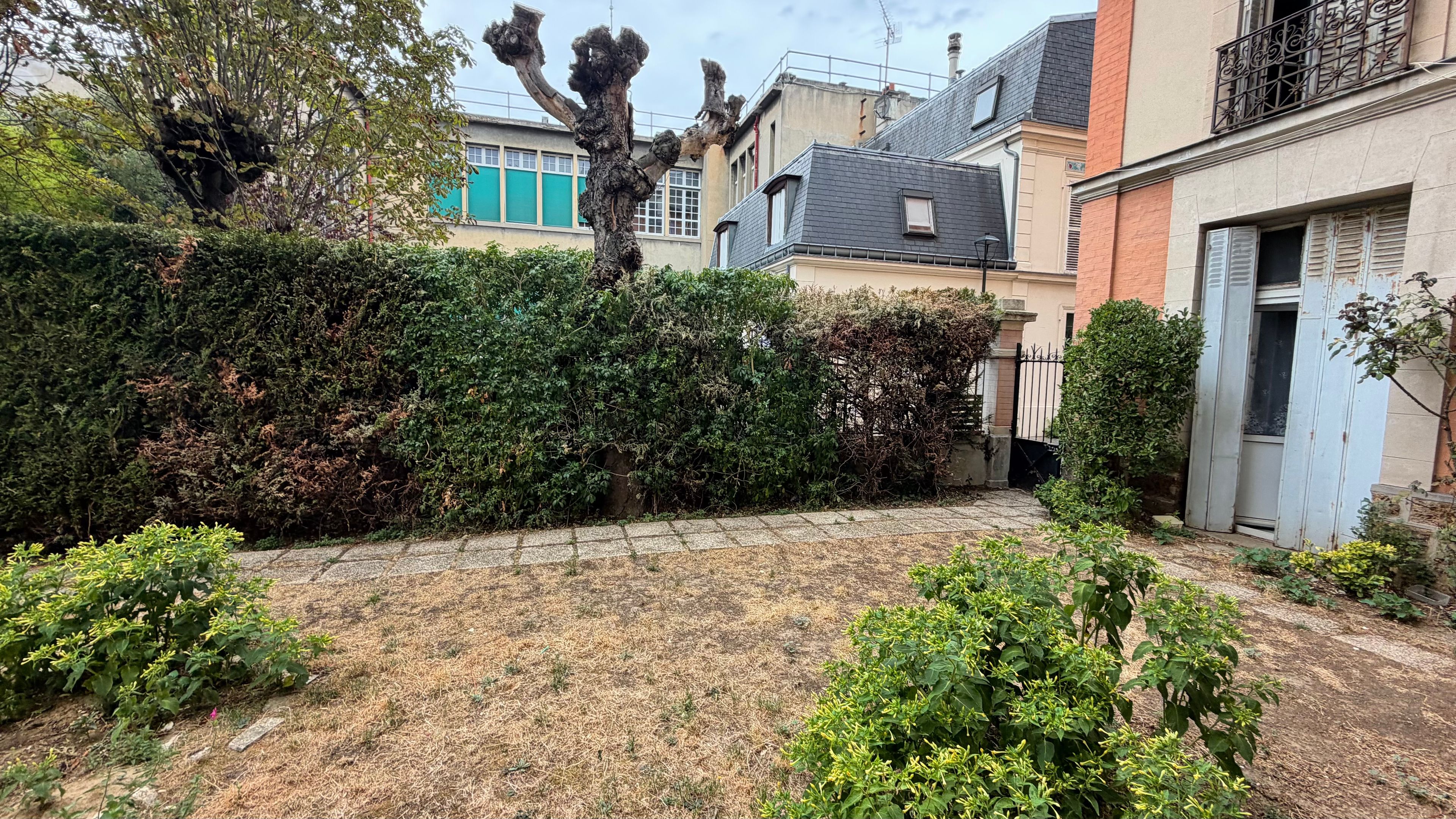 image-14