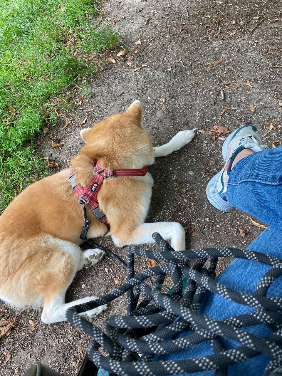 image-8