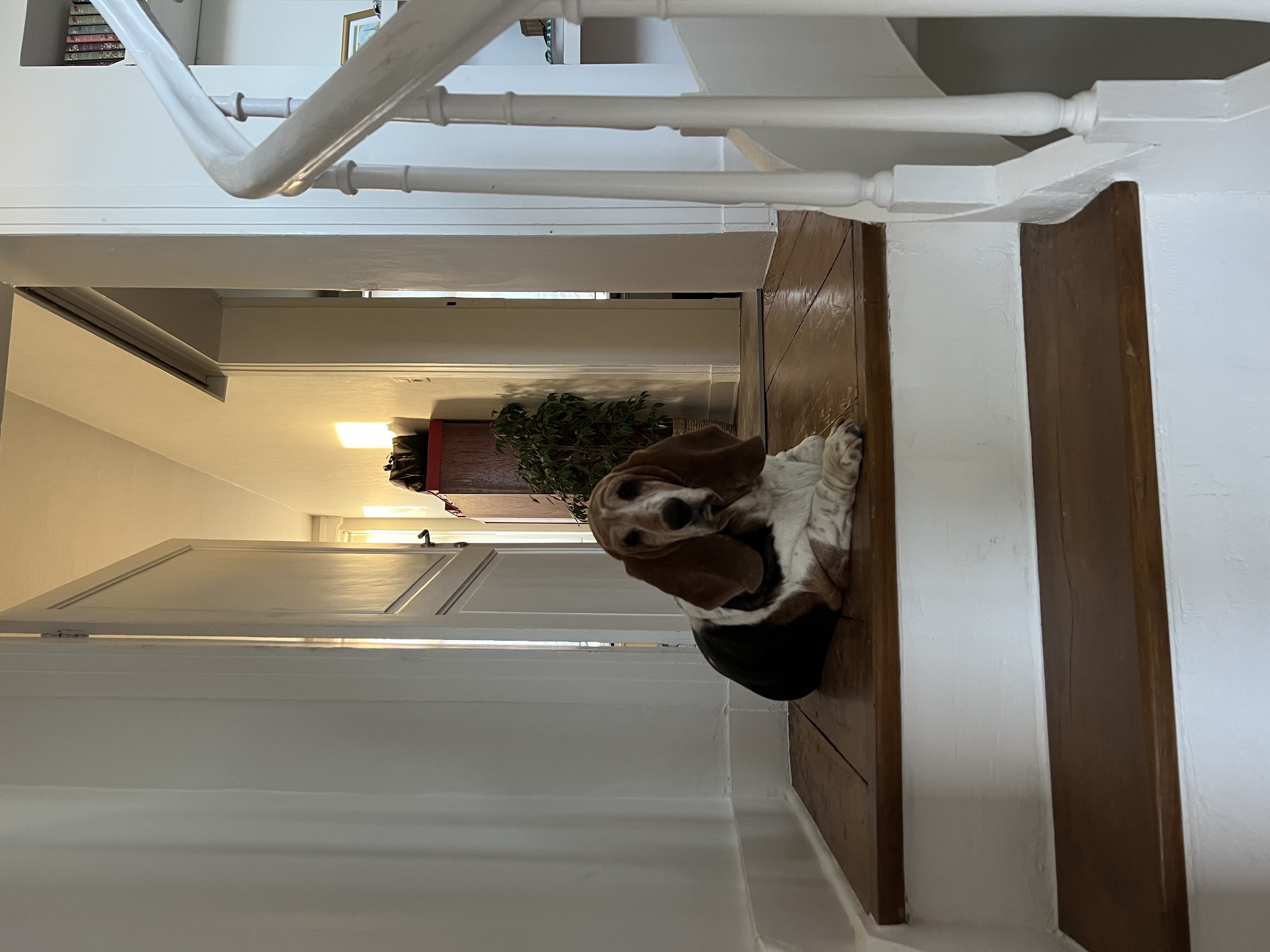 image-14