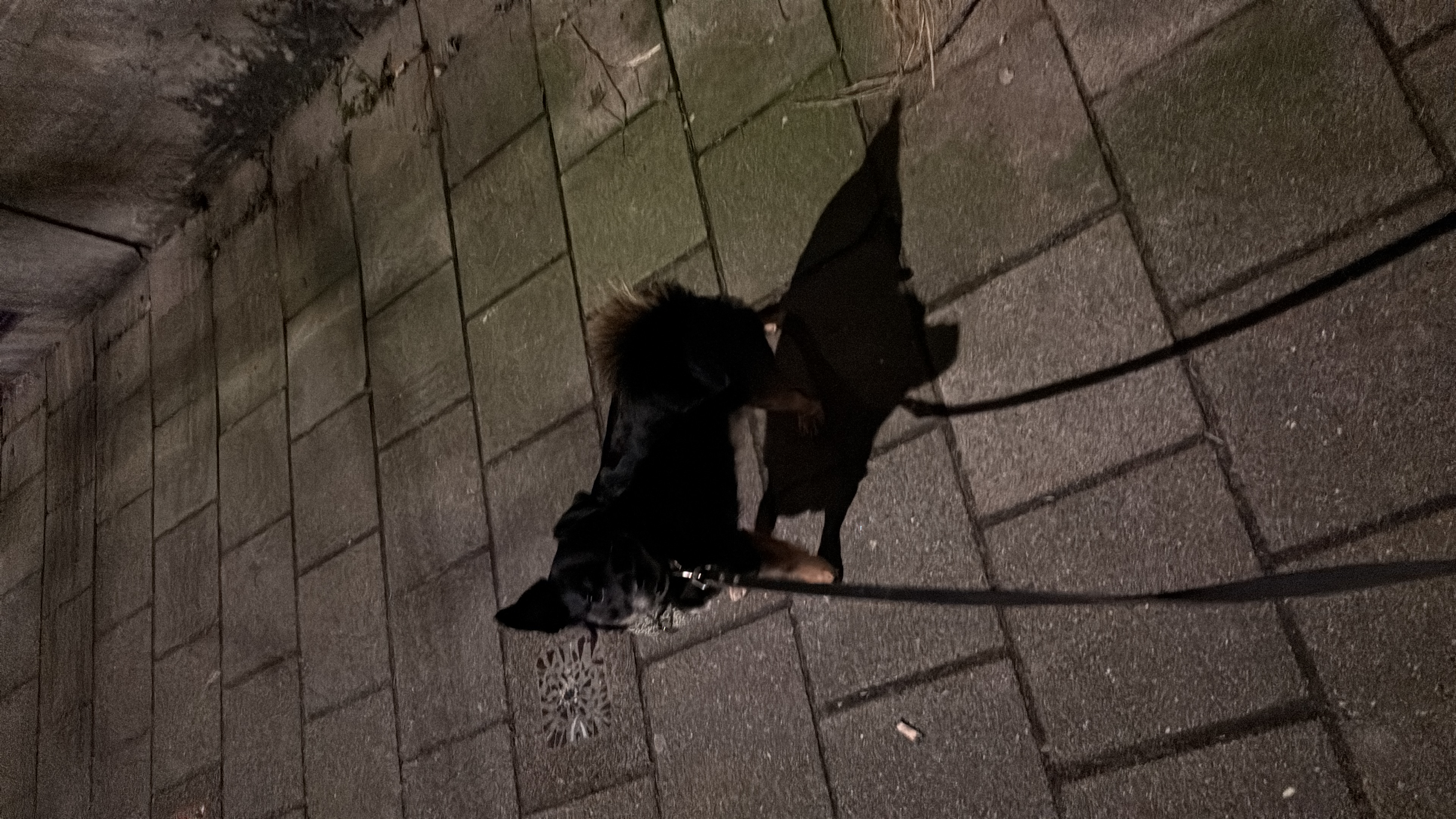 image-8