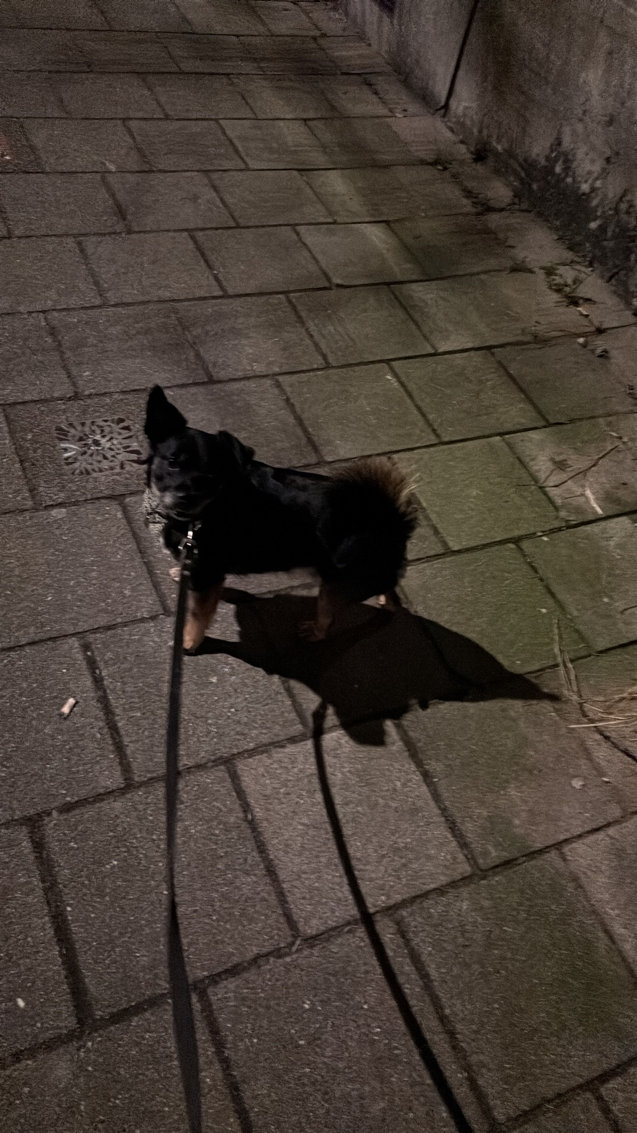 image-8