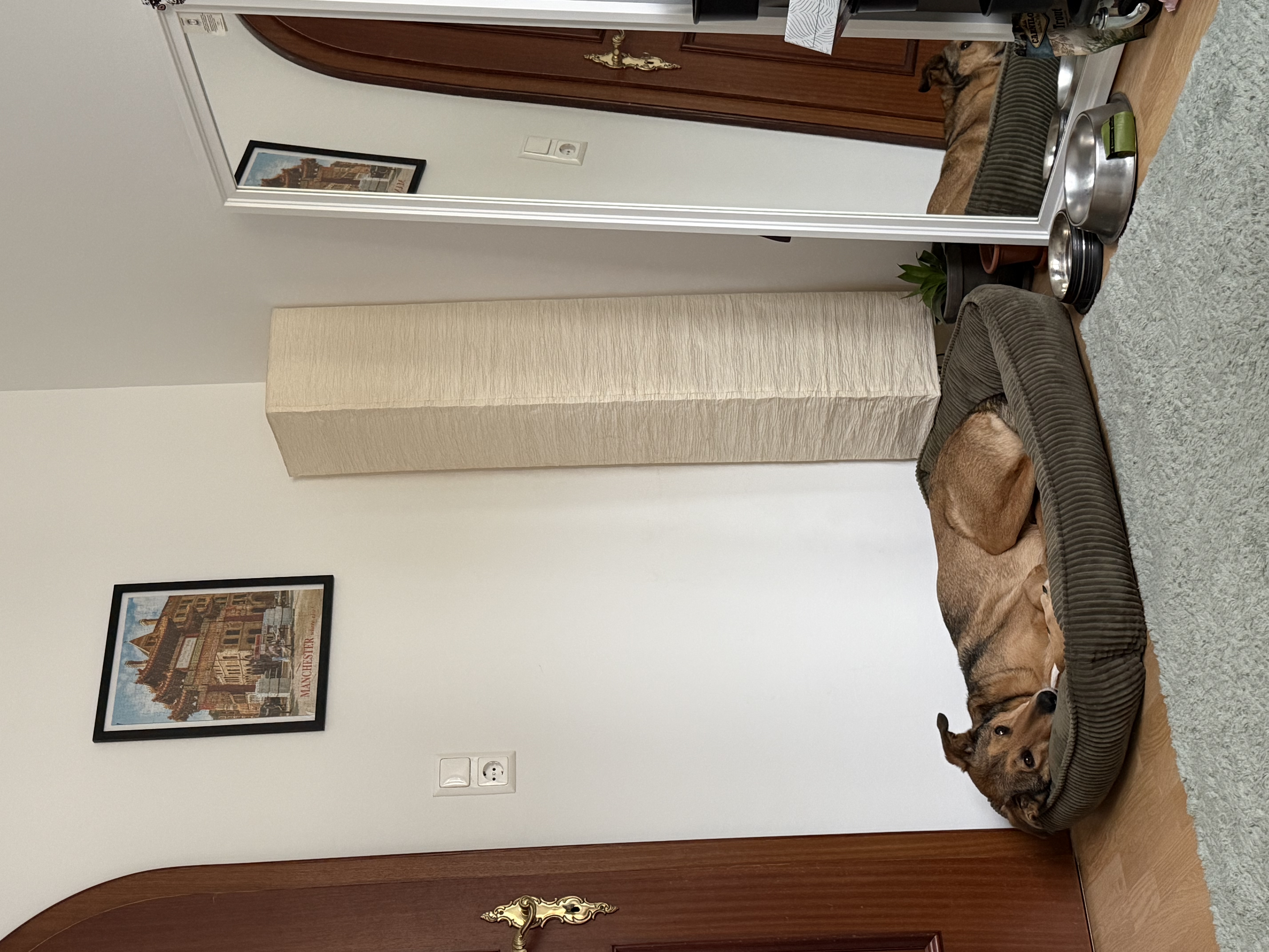 image-14