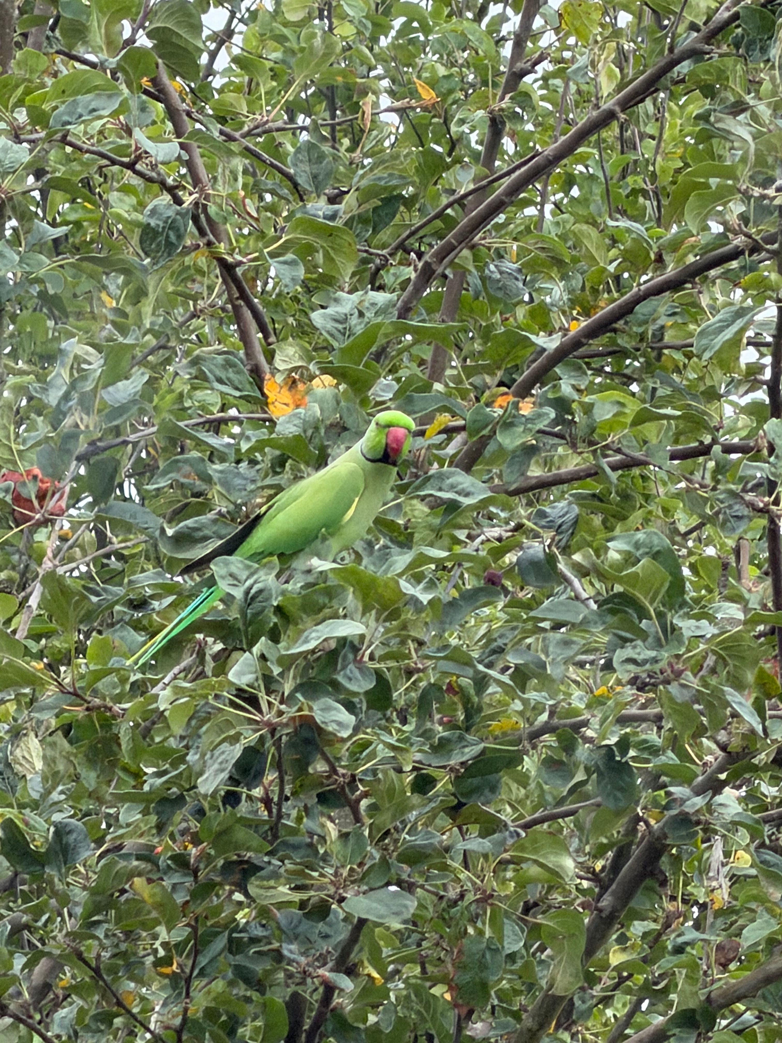 image-20
