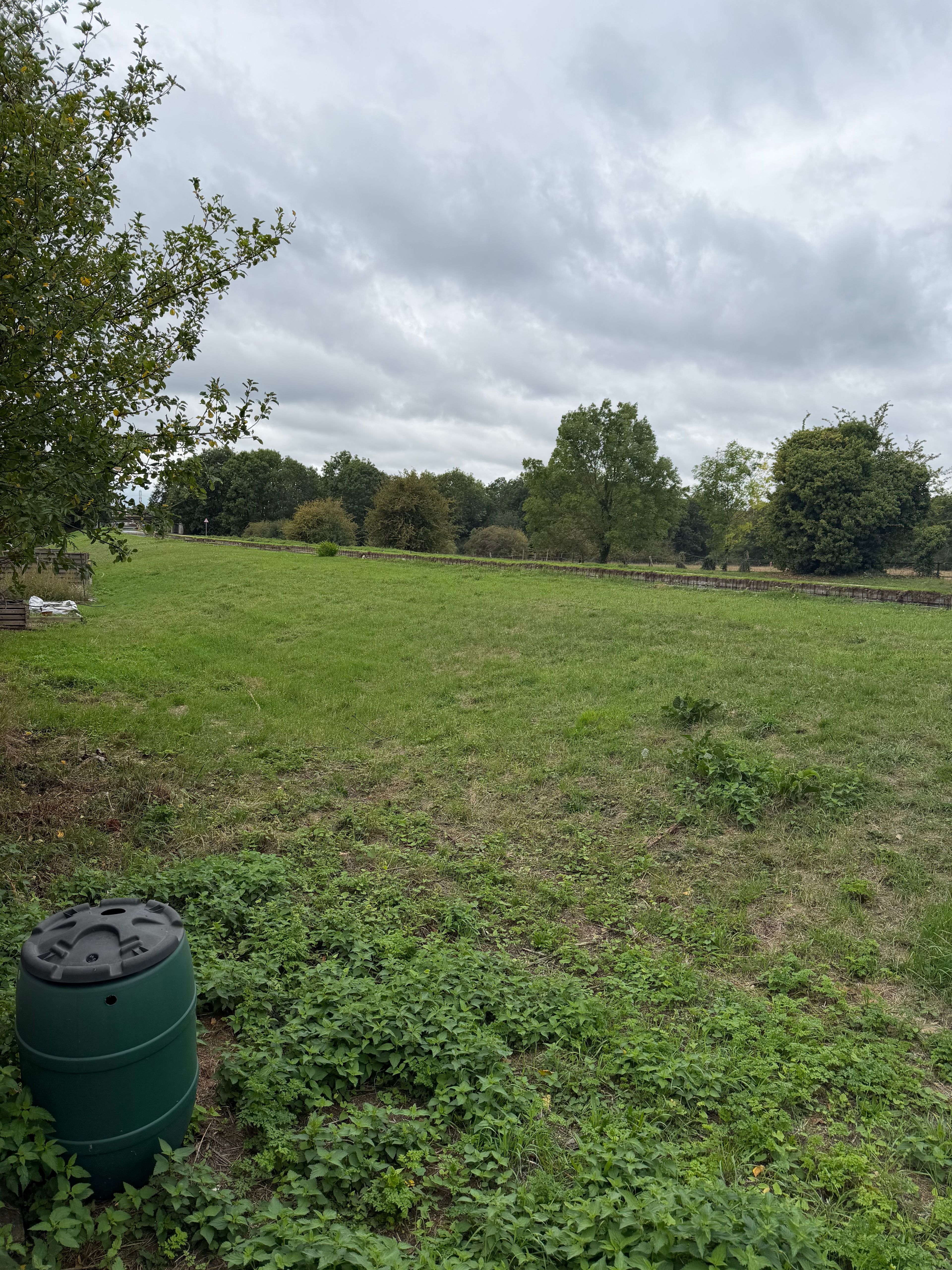 image-18
