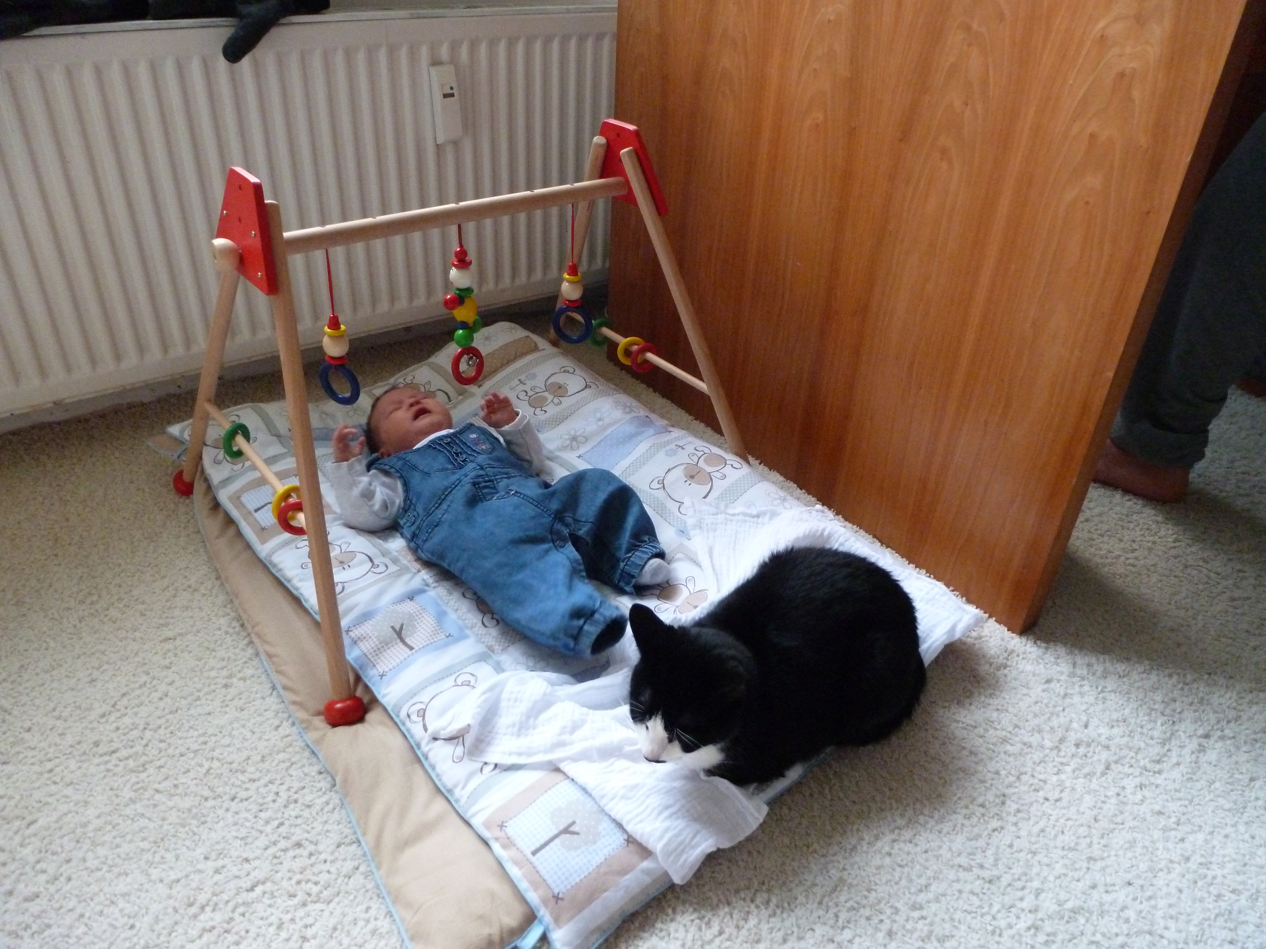 image-9