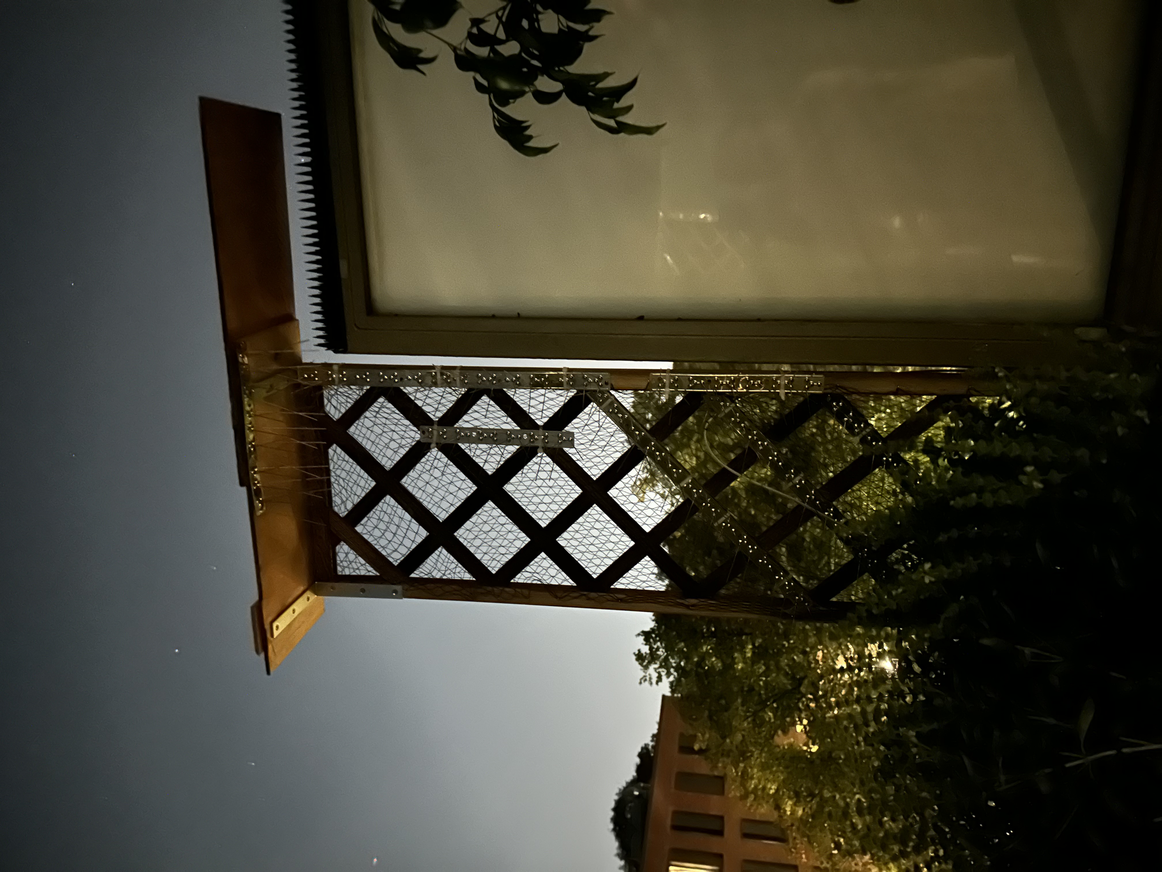 image-20