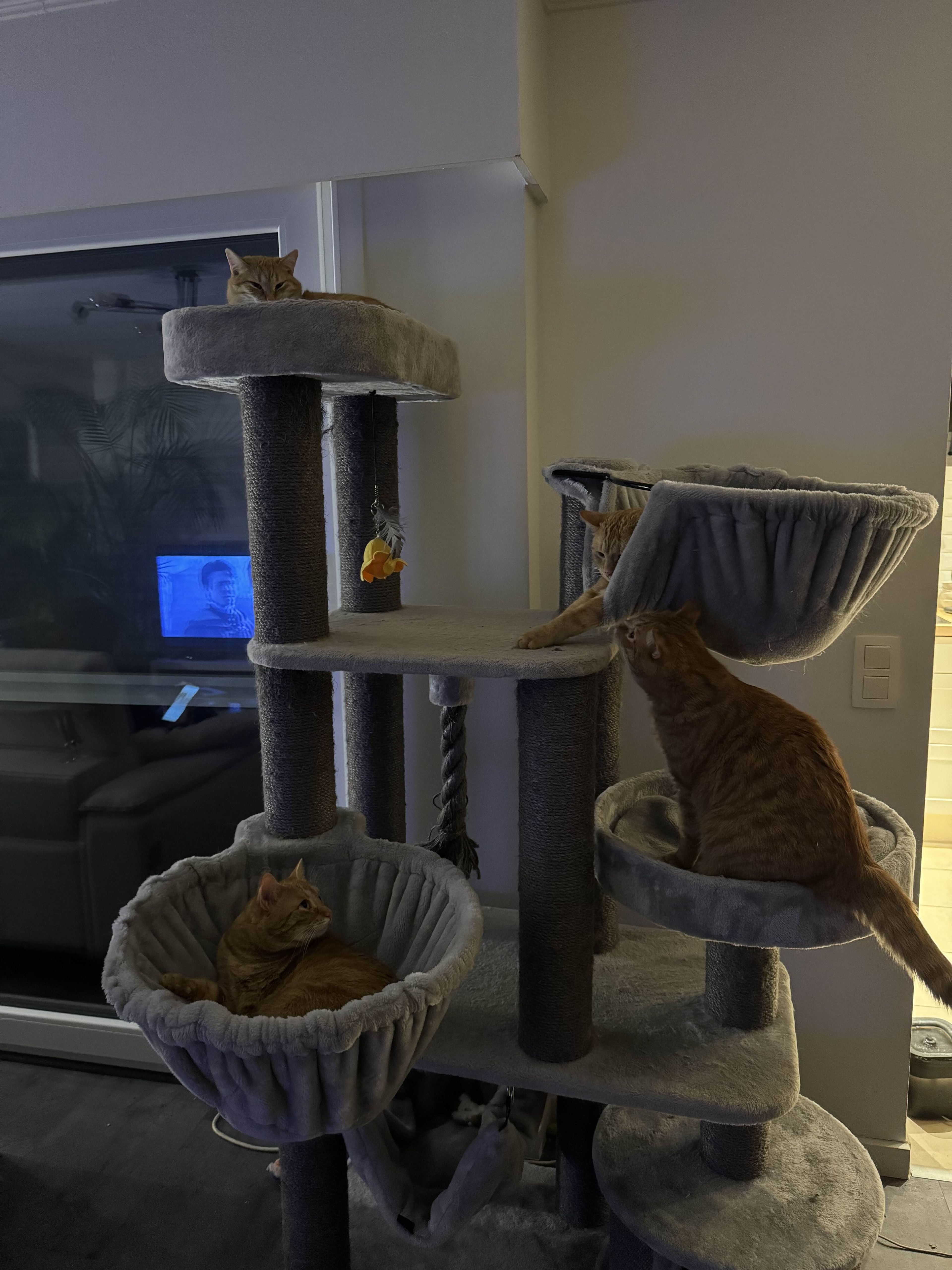 image-9