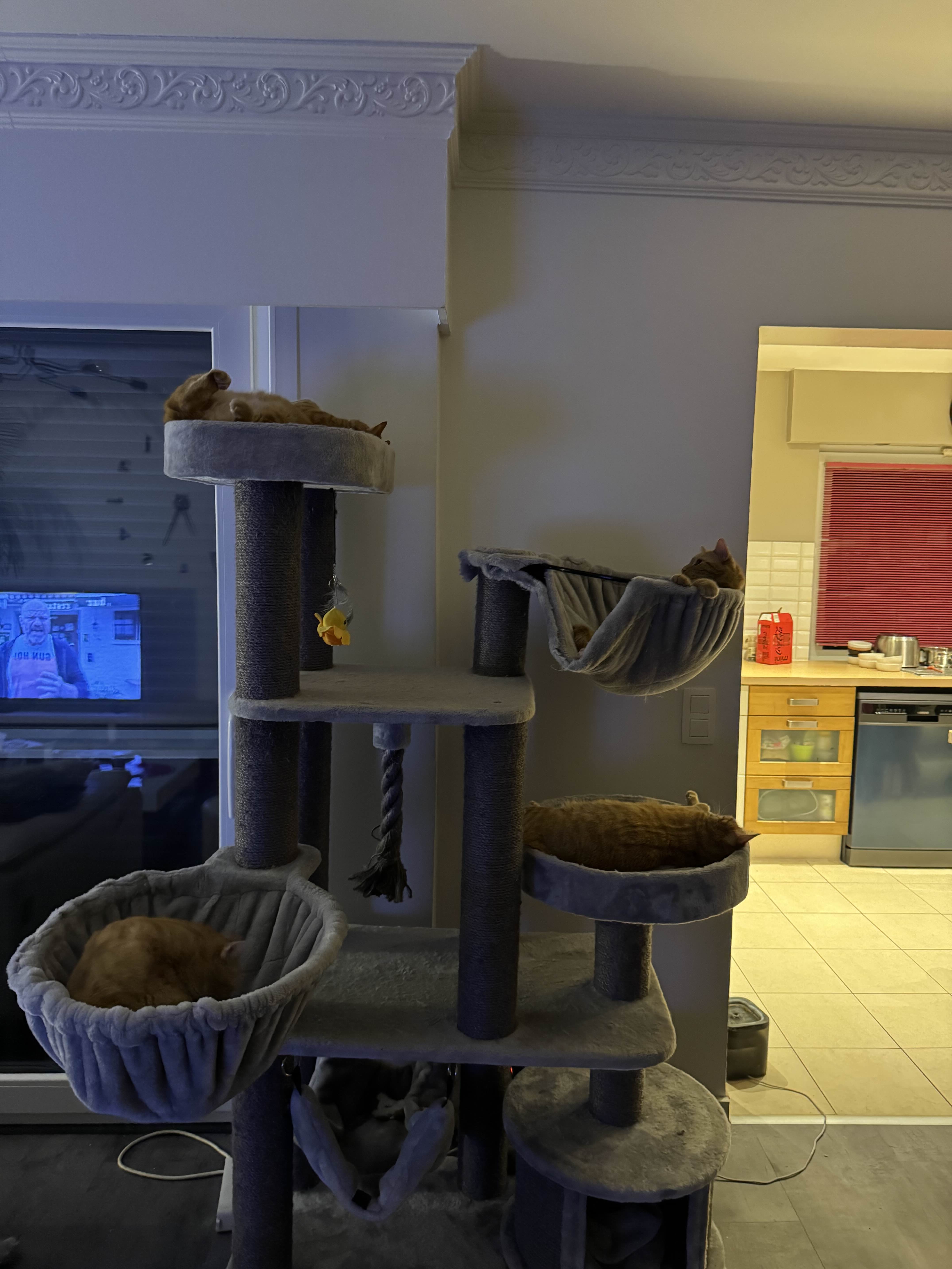 image-6