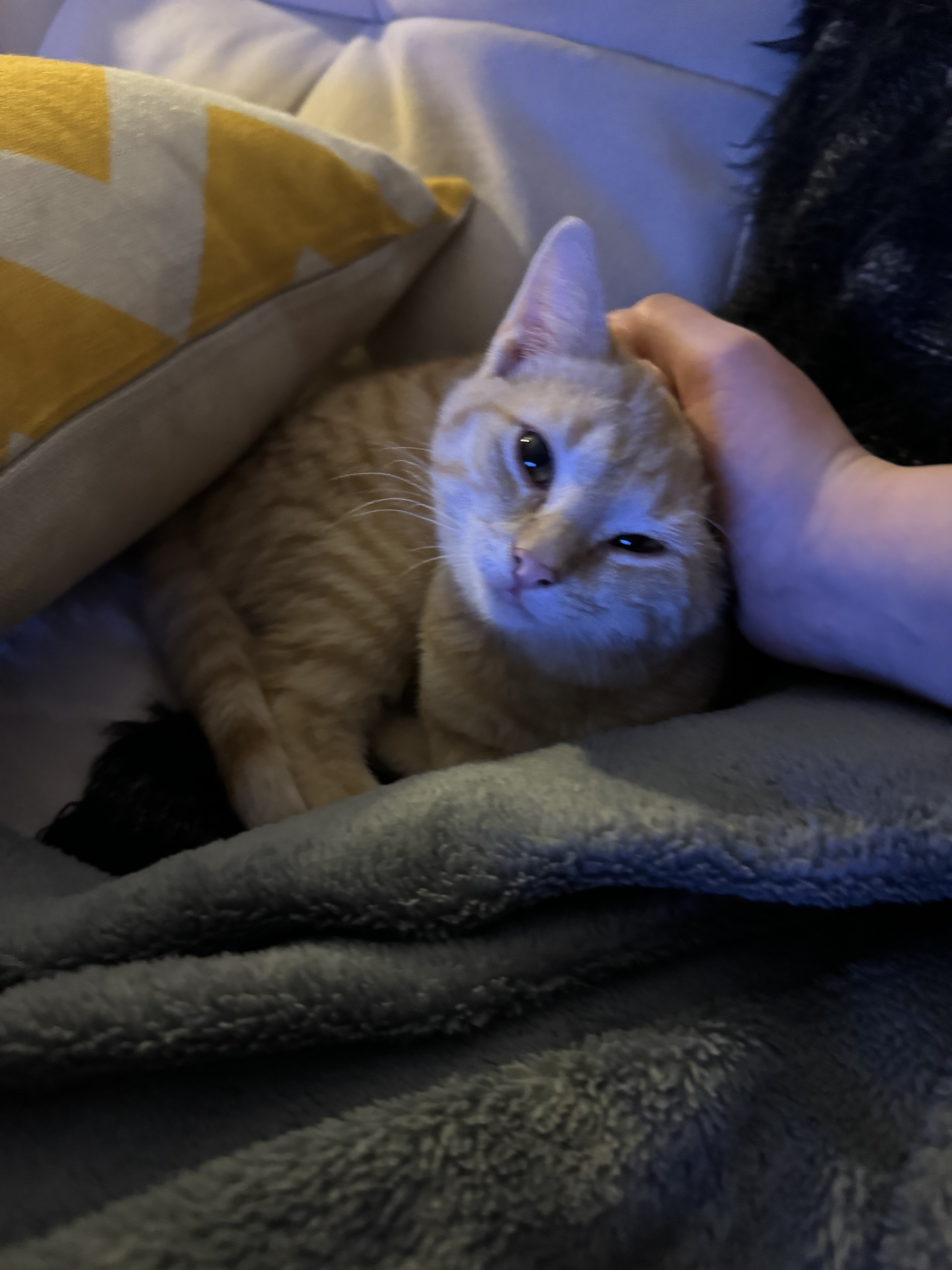 image-14