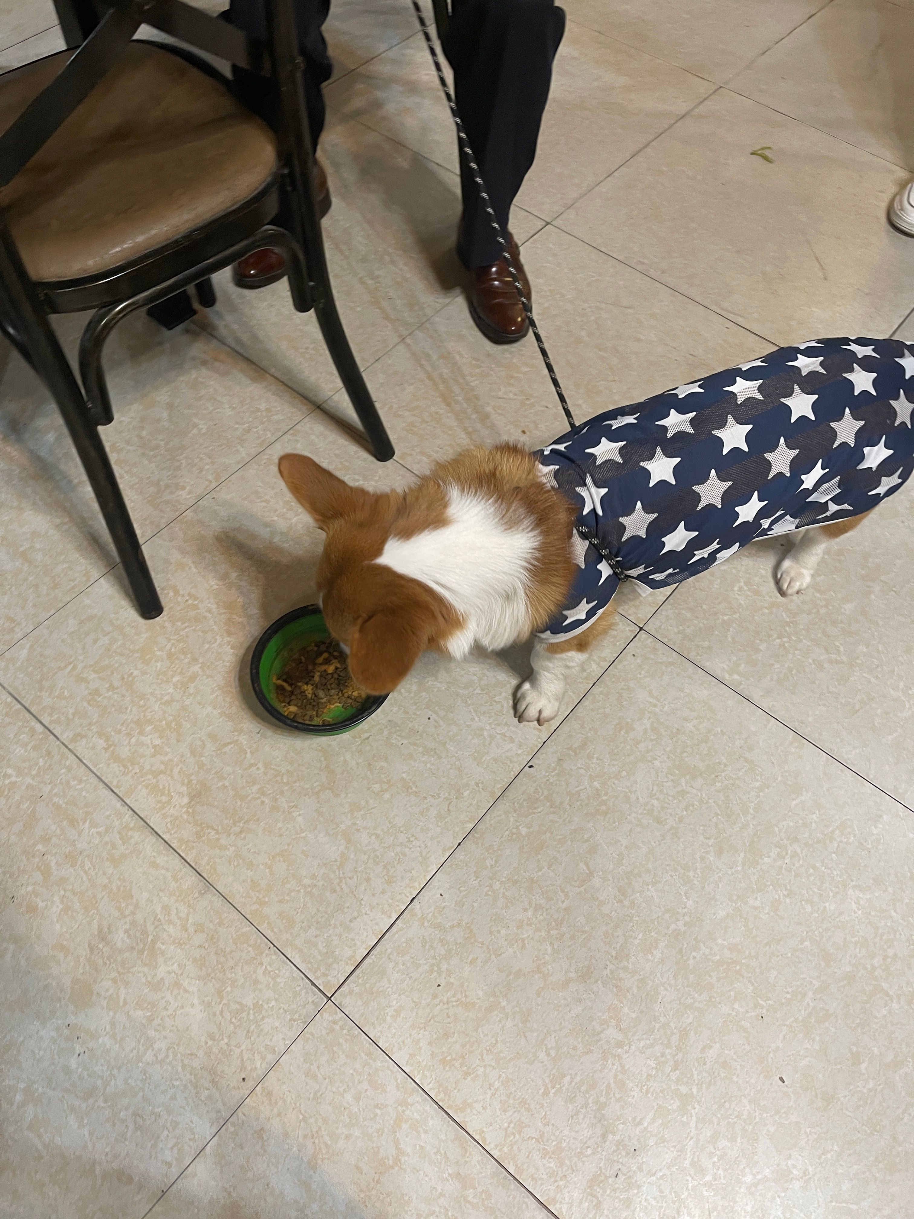 image-12