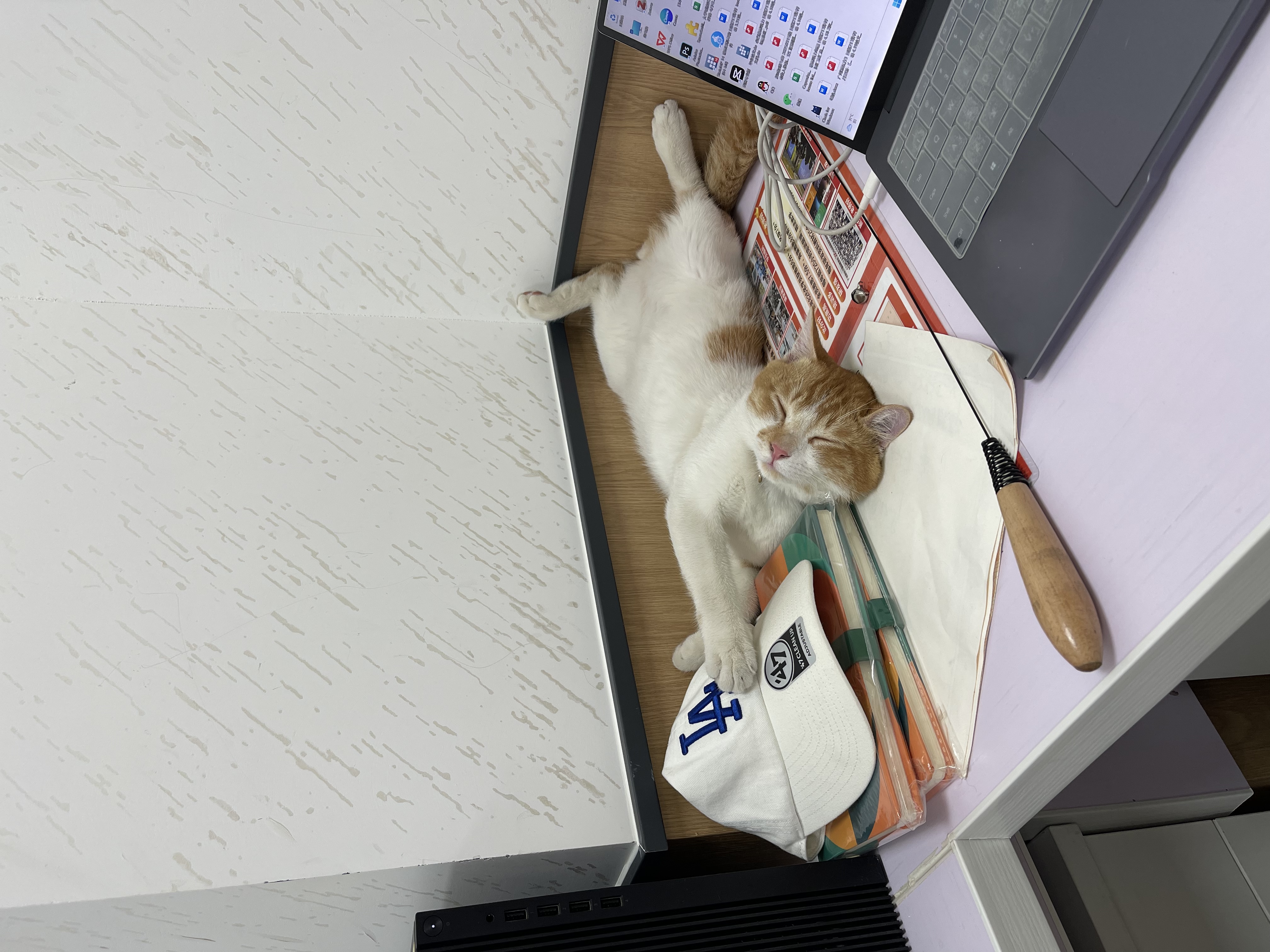 image-6