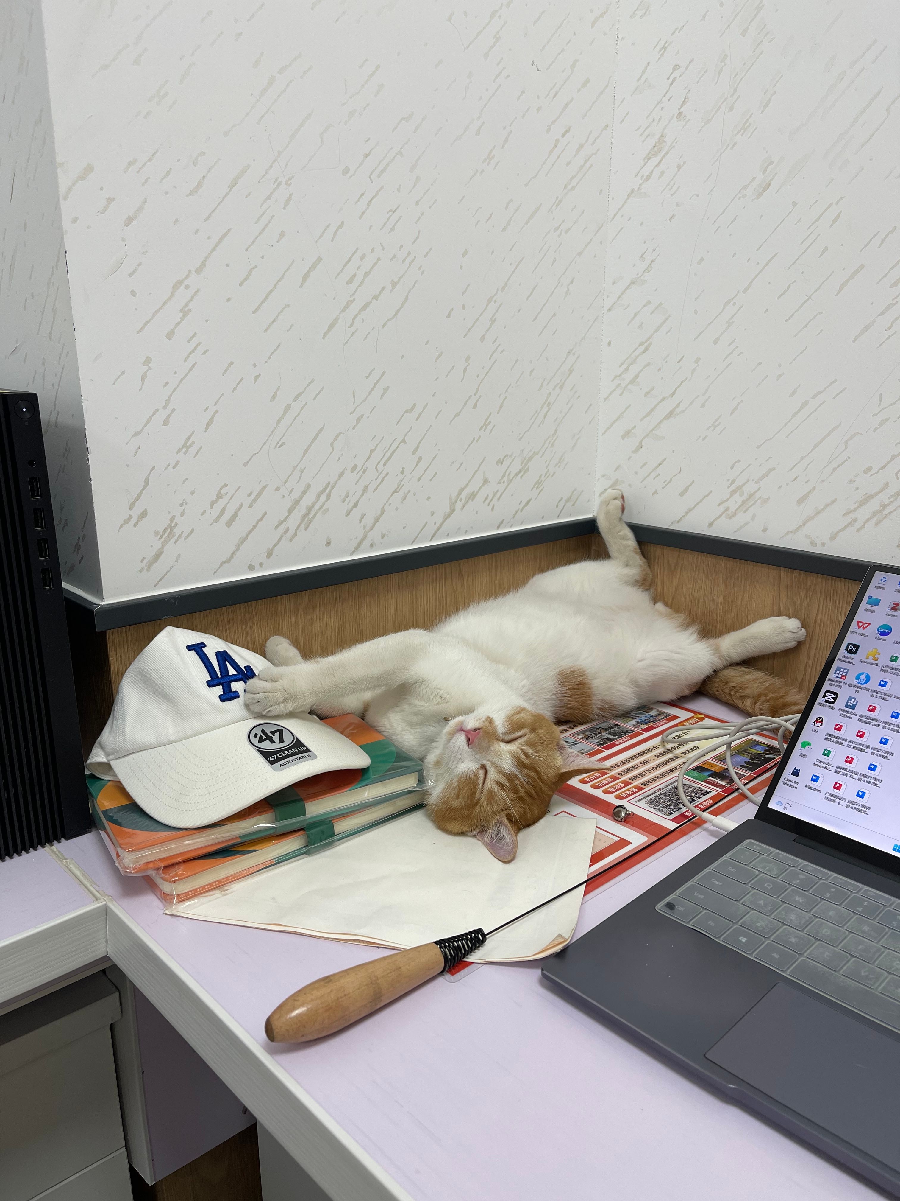 image-6