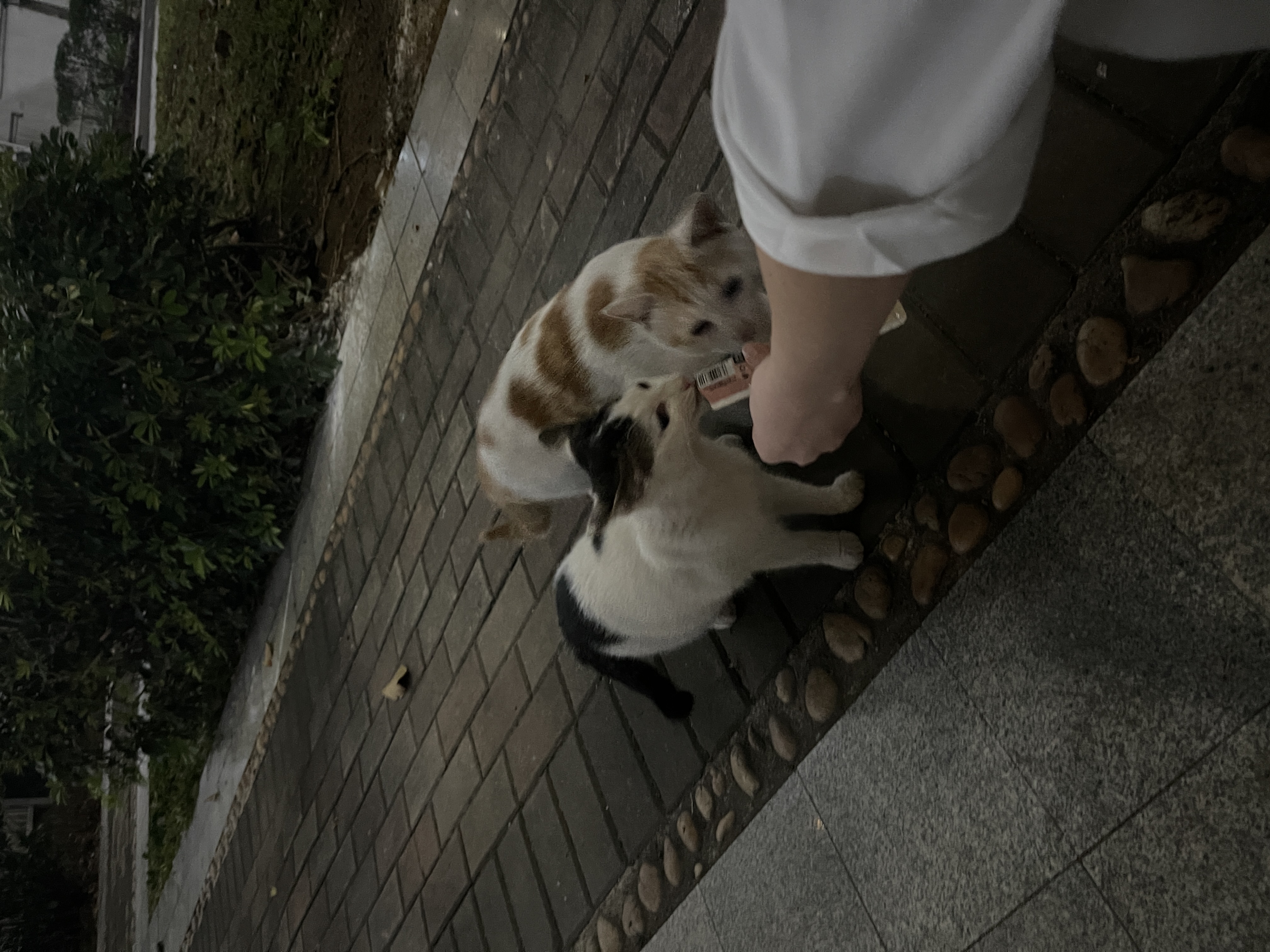 image-15