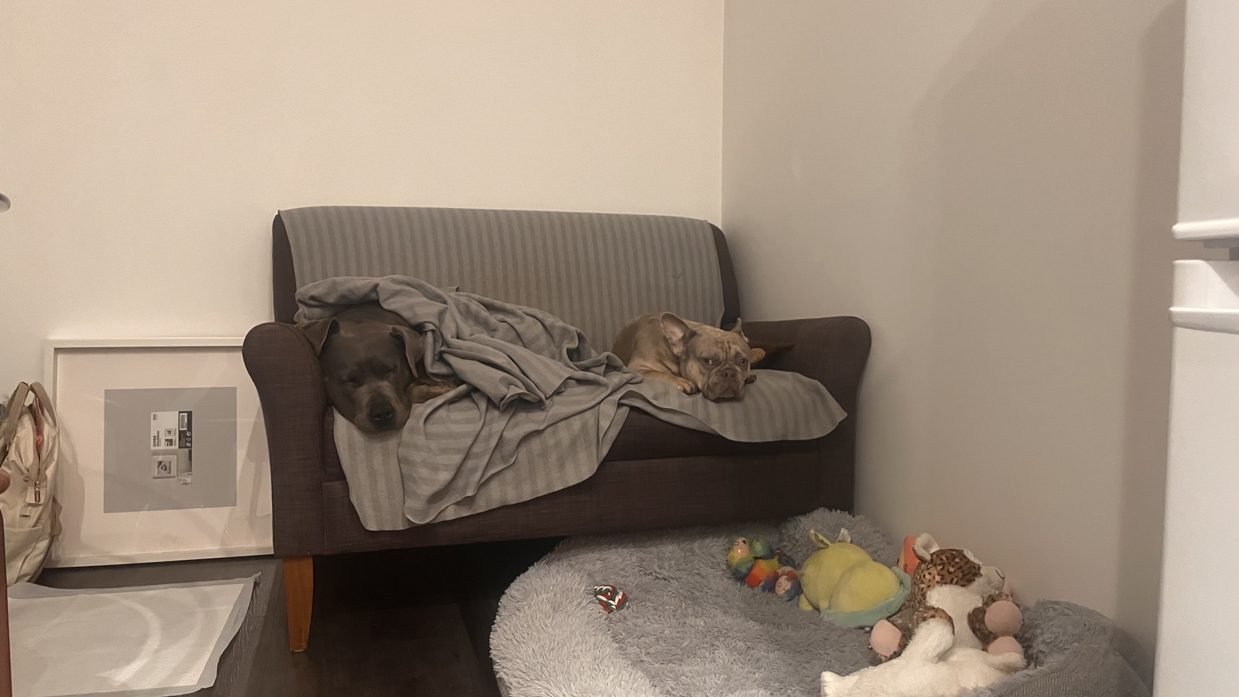image-17