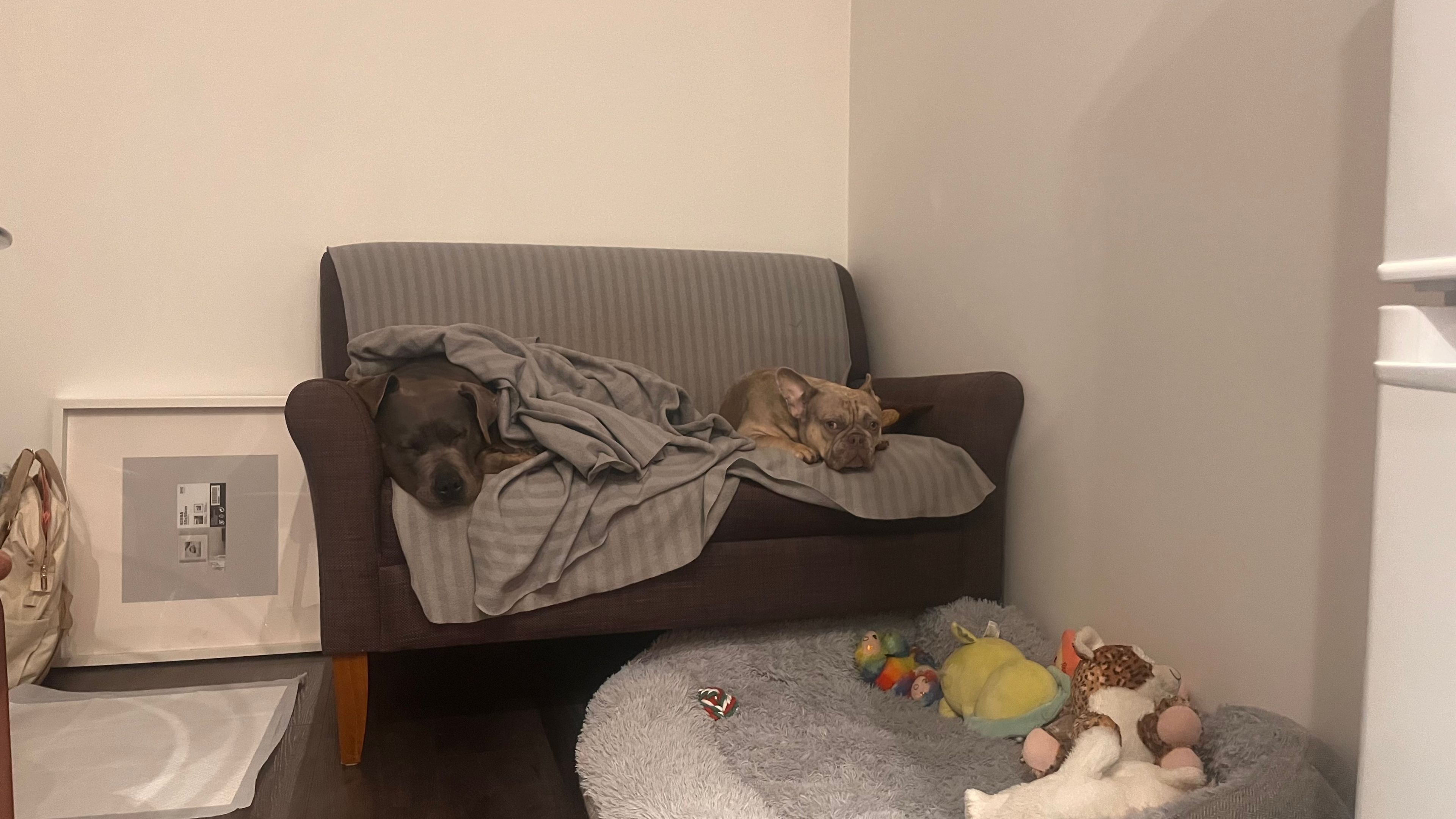 image-17