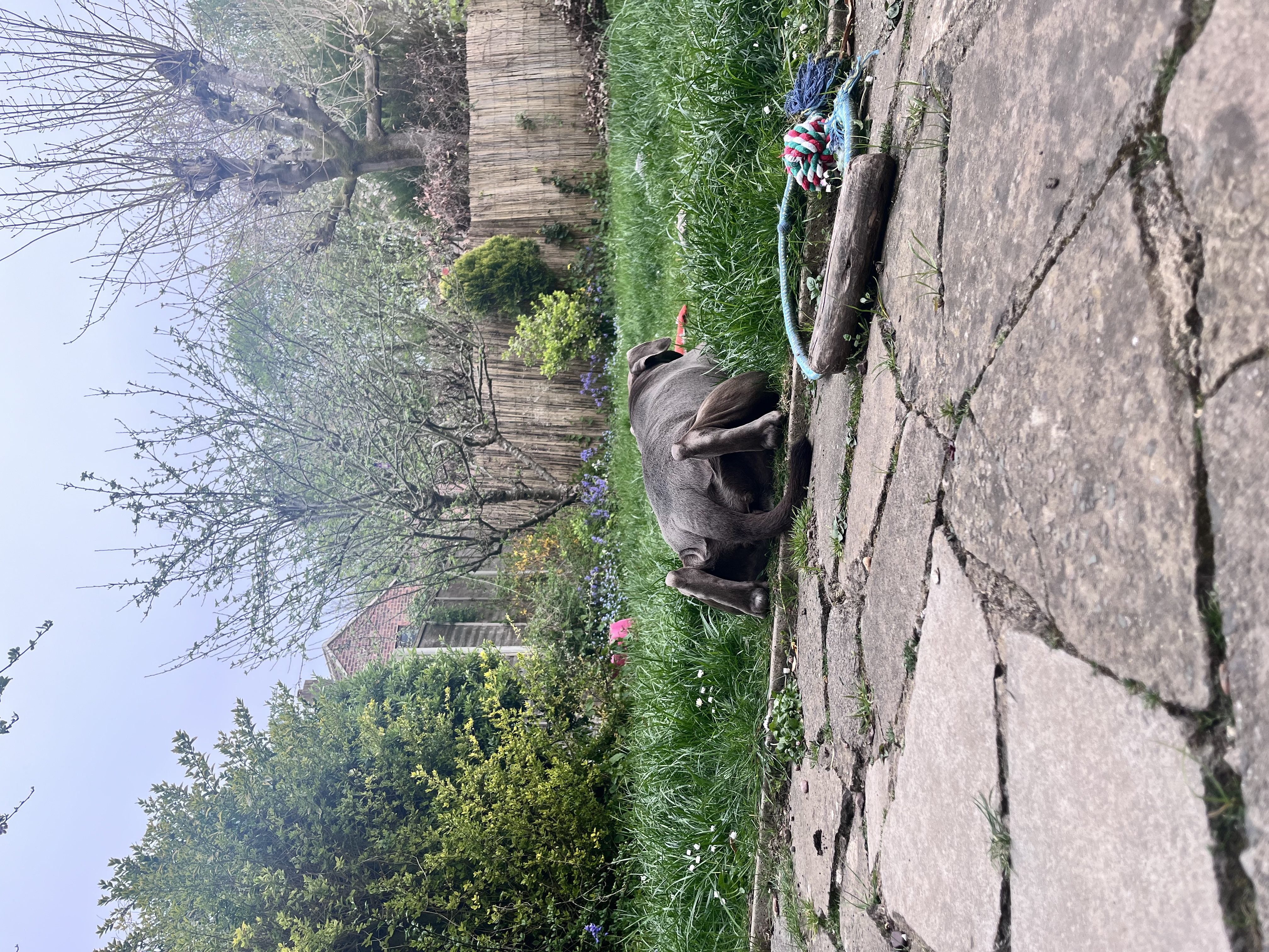 image-15