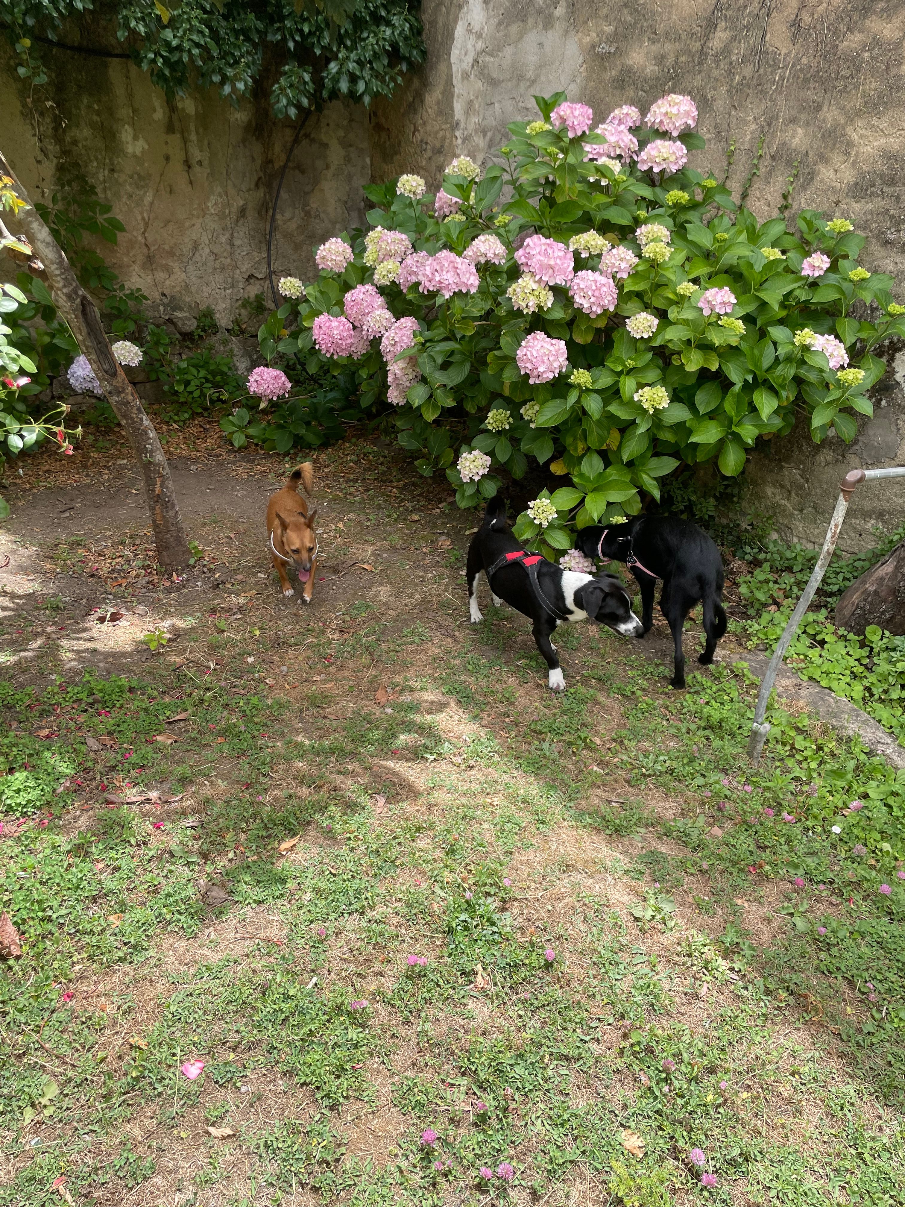 image-9