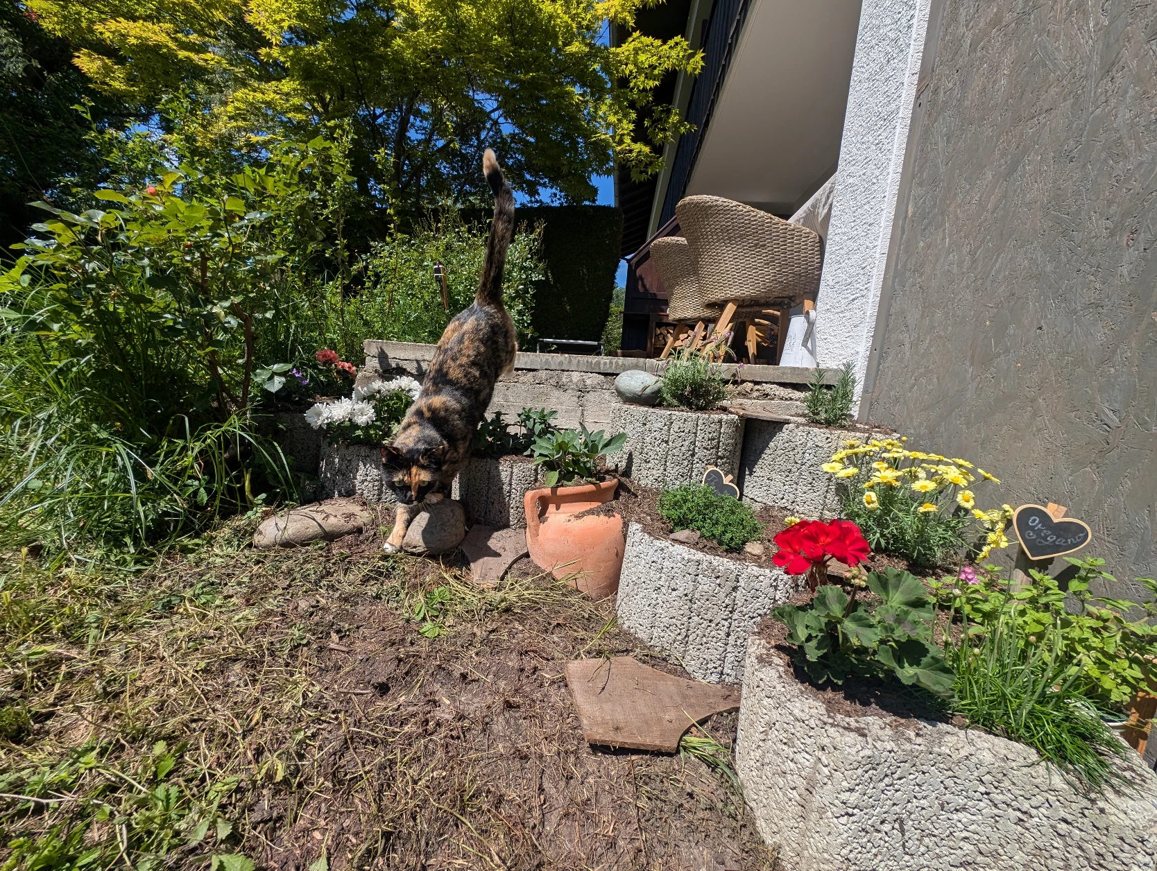 image-14